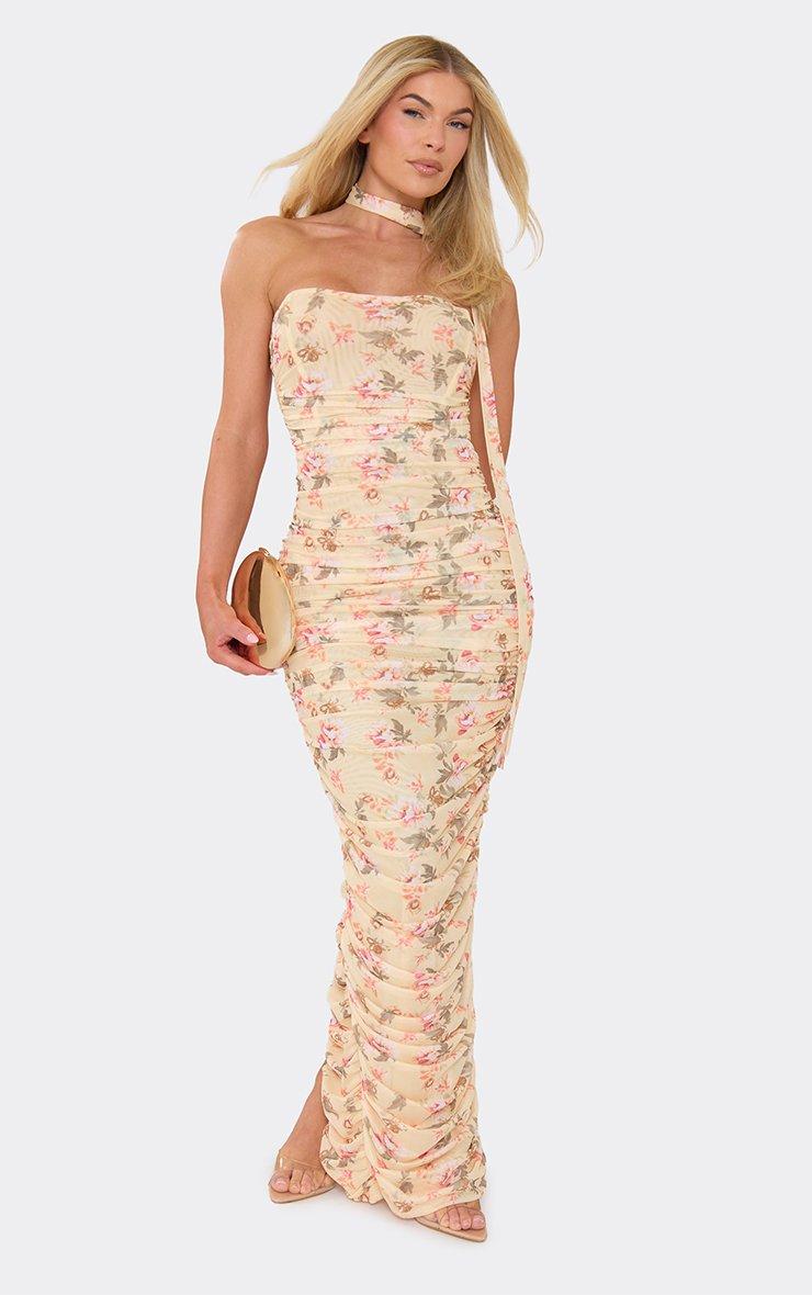 Mesh Dresses | Mesh Dresses for Women | EGO
