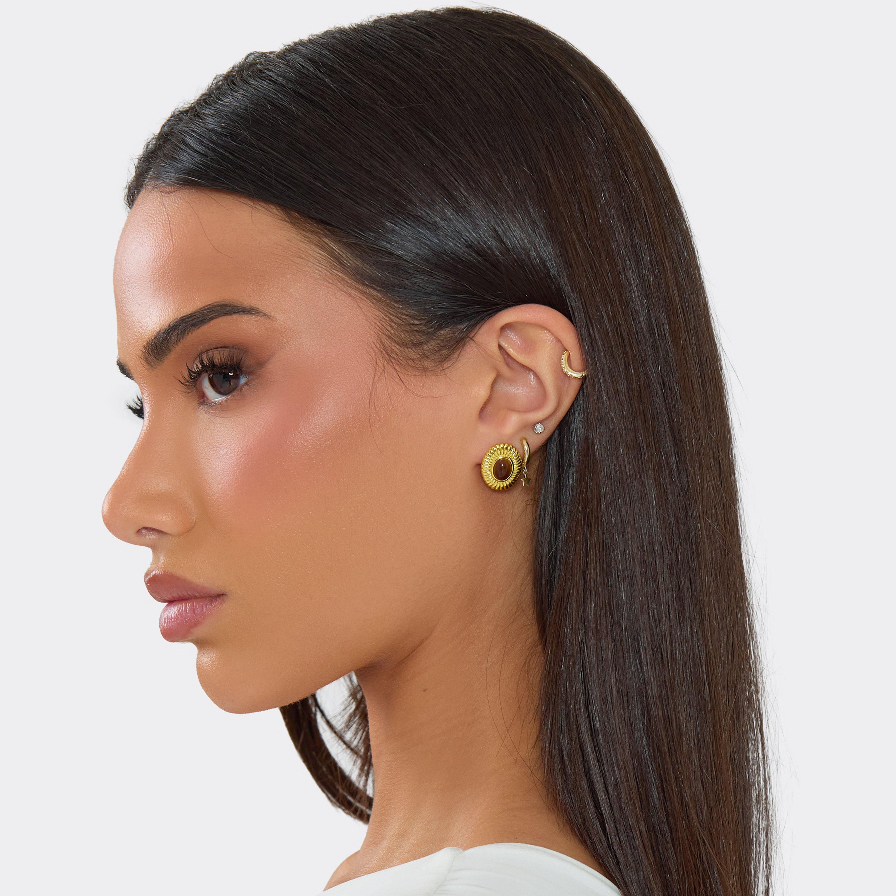 Brown Gem Ribbed Detail Round Stud Earrings In Gold, Women’s