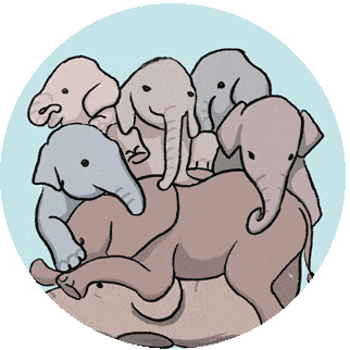 elfcares elephants