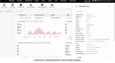 Maestro Management