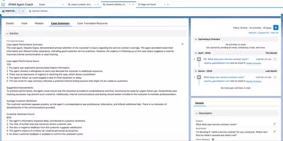case summary description