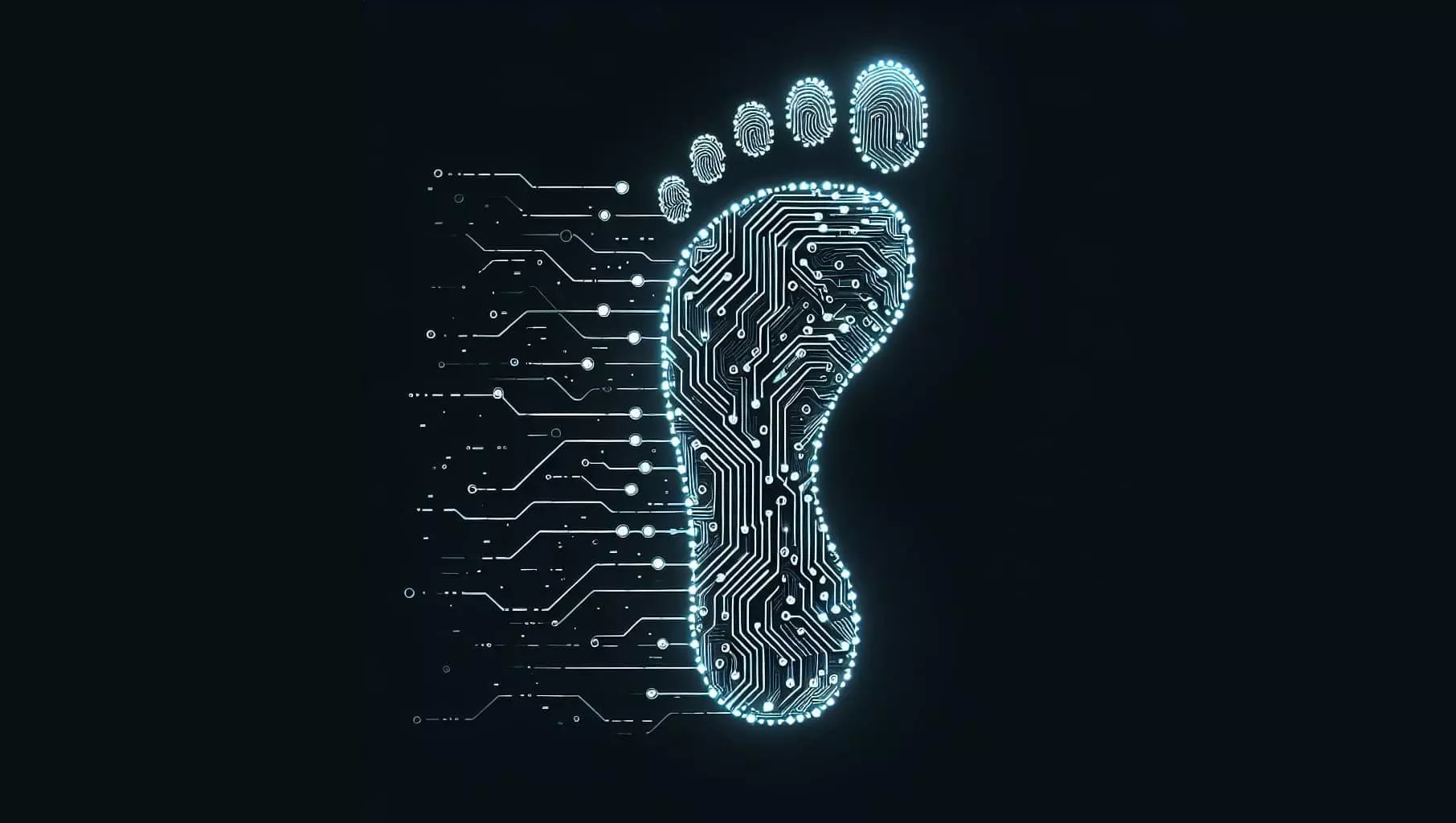 FootPrint FootPrint