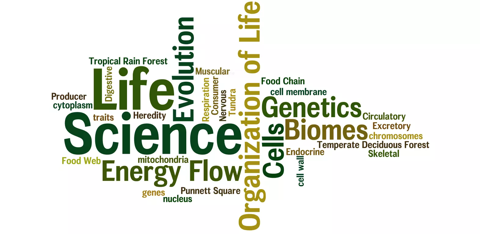 Life Science: Khám Phá Khoa Học Đời Sống - Định Nghĩa, Cách Sử Dụng và Bài Tập Thực Hành