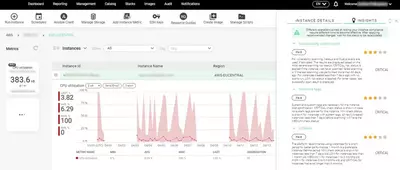 maestro instance insights