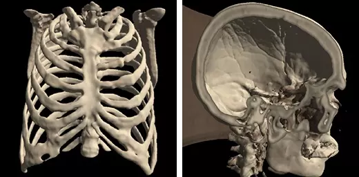 Isosurface Visualization