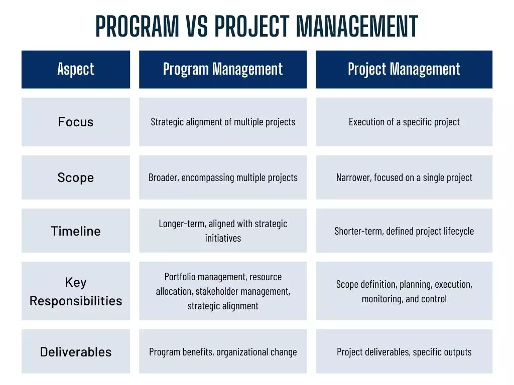 Program management vs project management