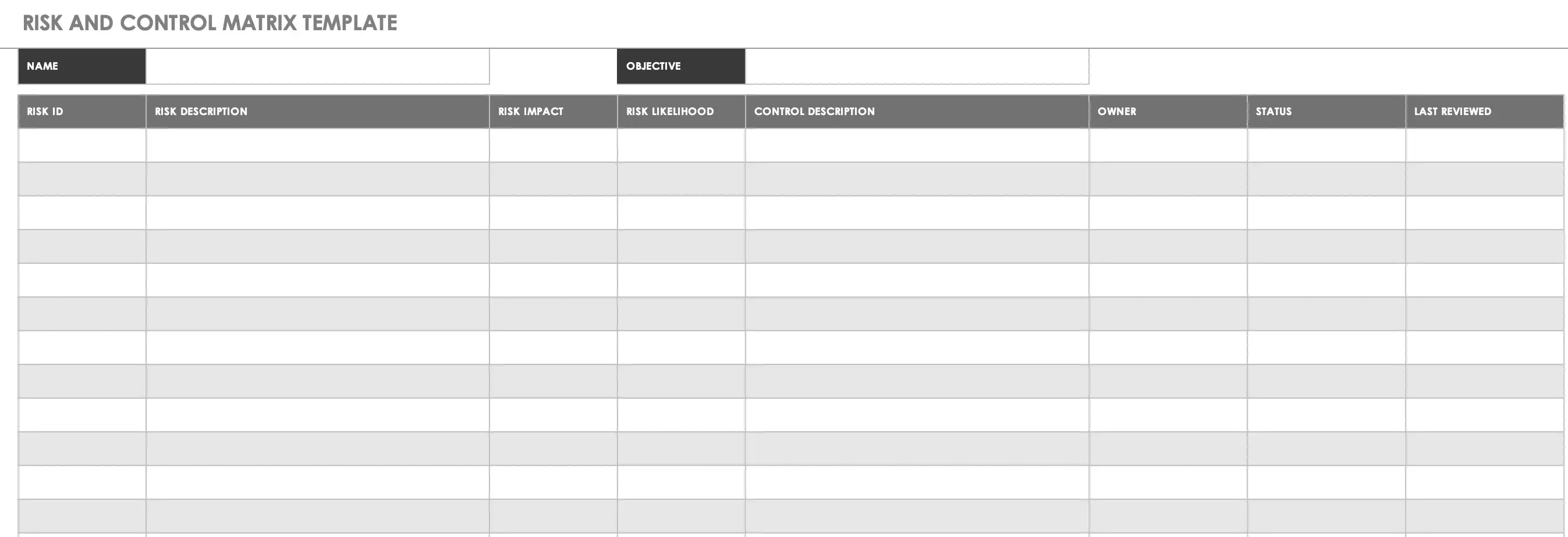 Risk and Control Matrix Template