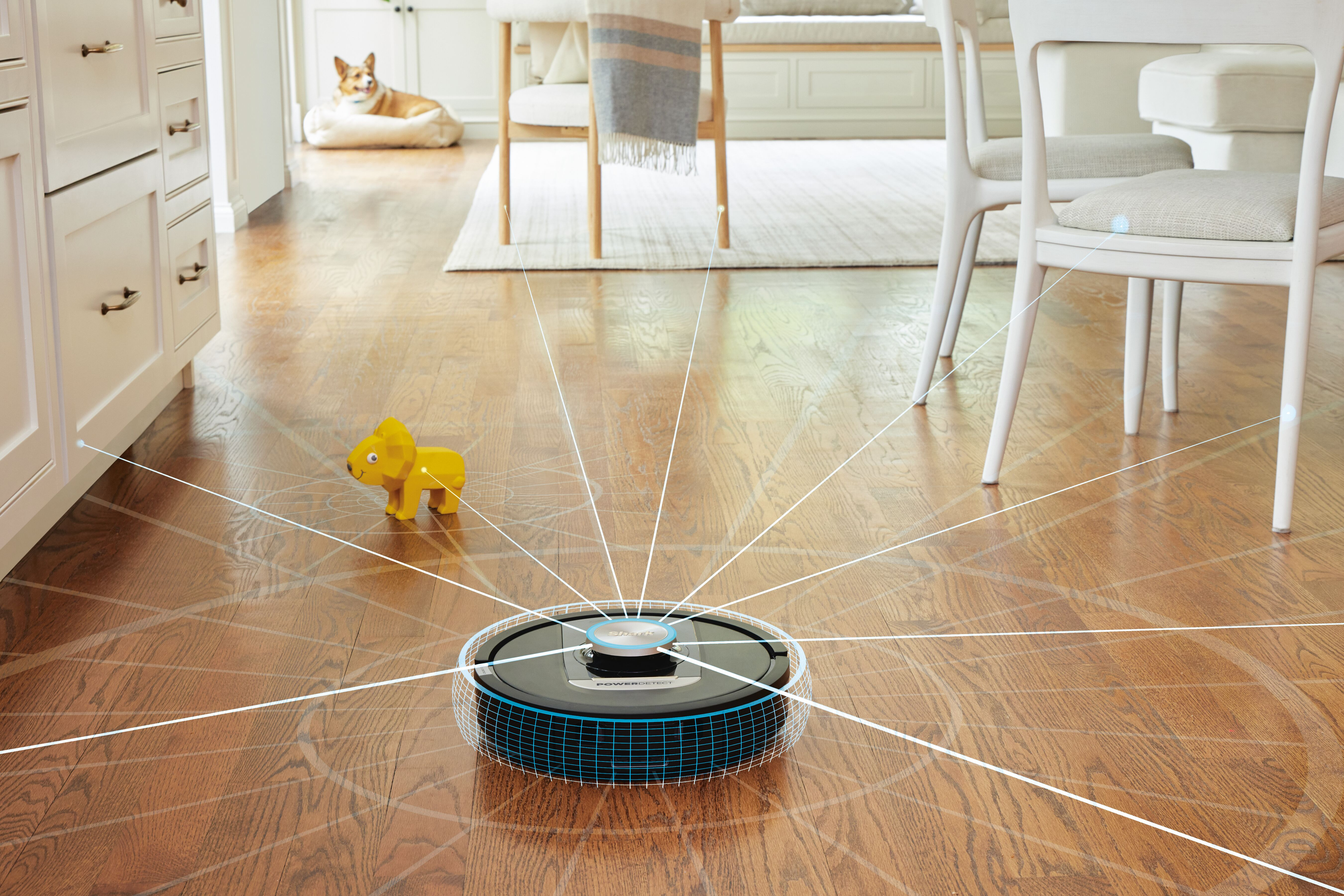 Shark Brand Page Robots Image