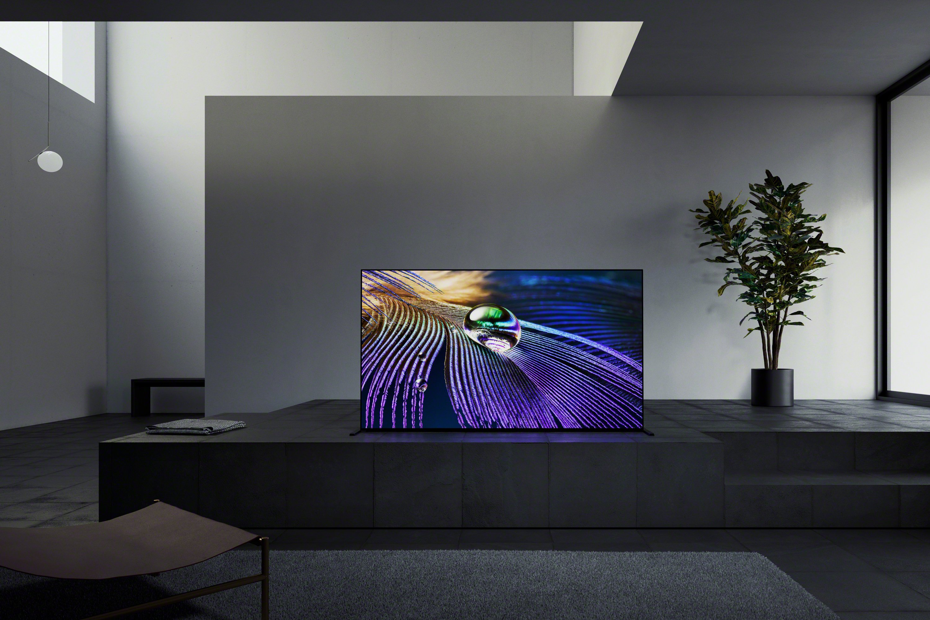 Sony XR55A90JU 55
