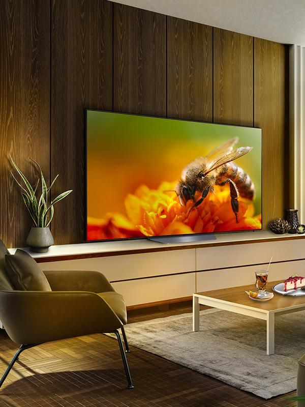 An LG TV hanging on a living room wall