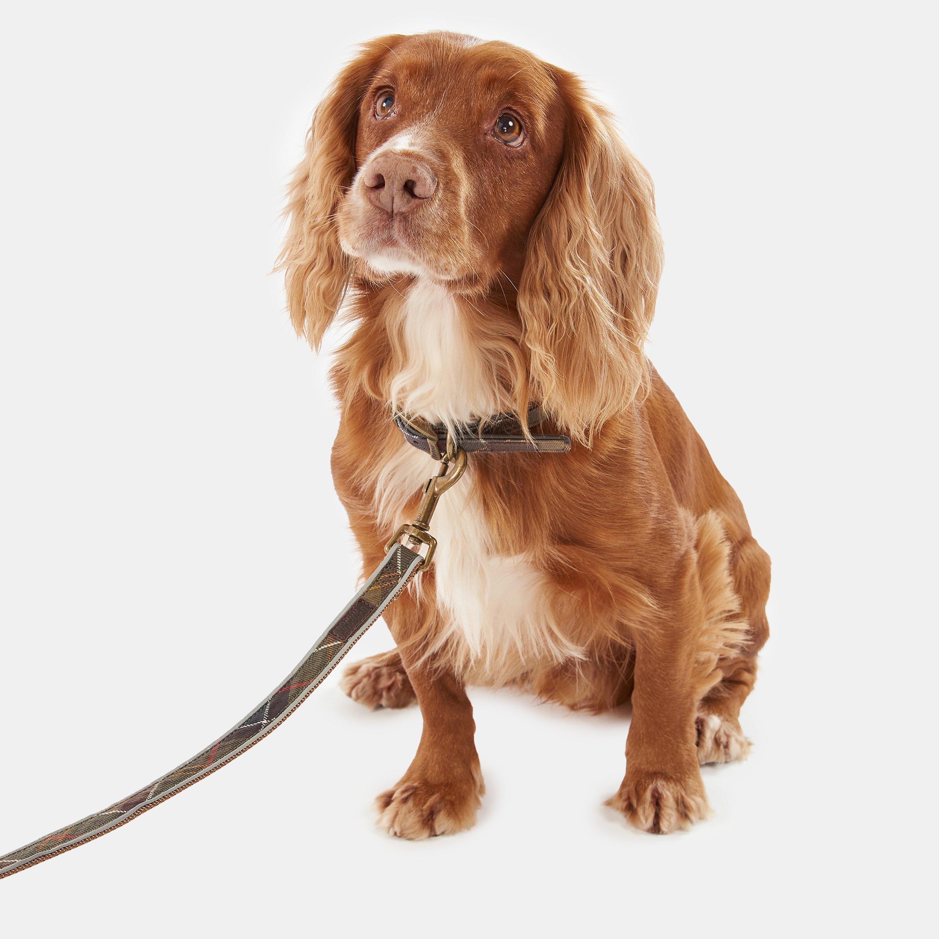 Classic Tartan - Barbour - Tartan Check Dog Lead - 3