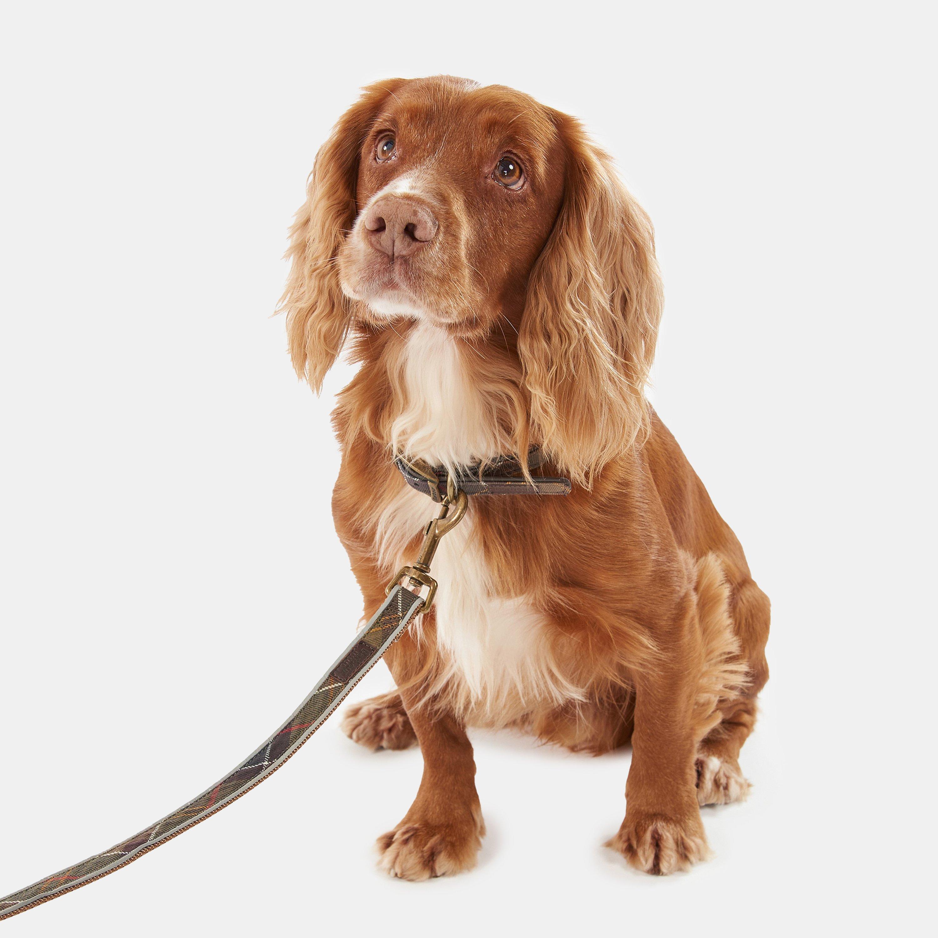 Classic Tartan - Barbour - Tartan Check Dog Lead - 4