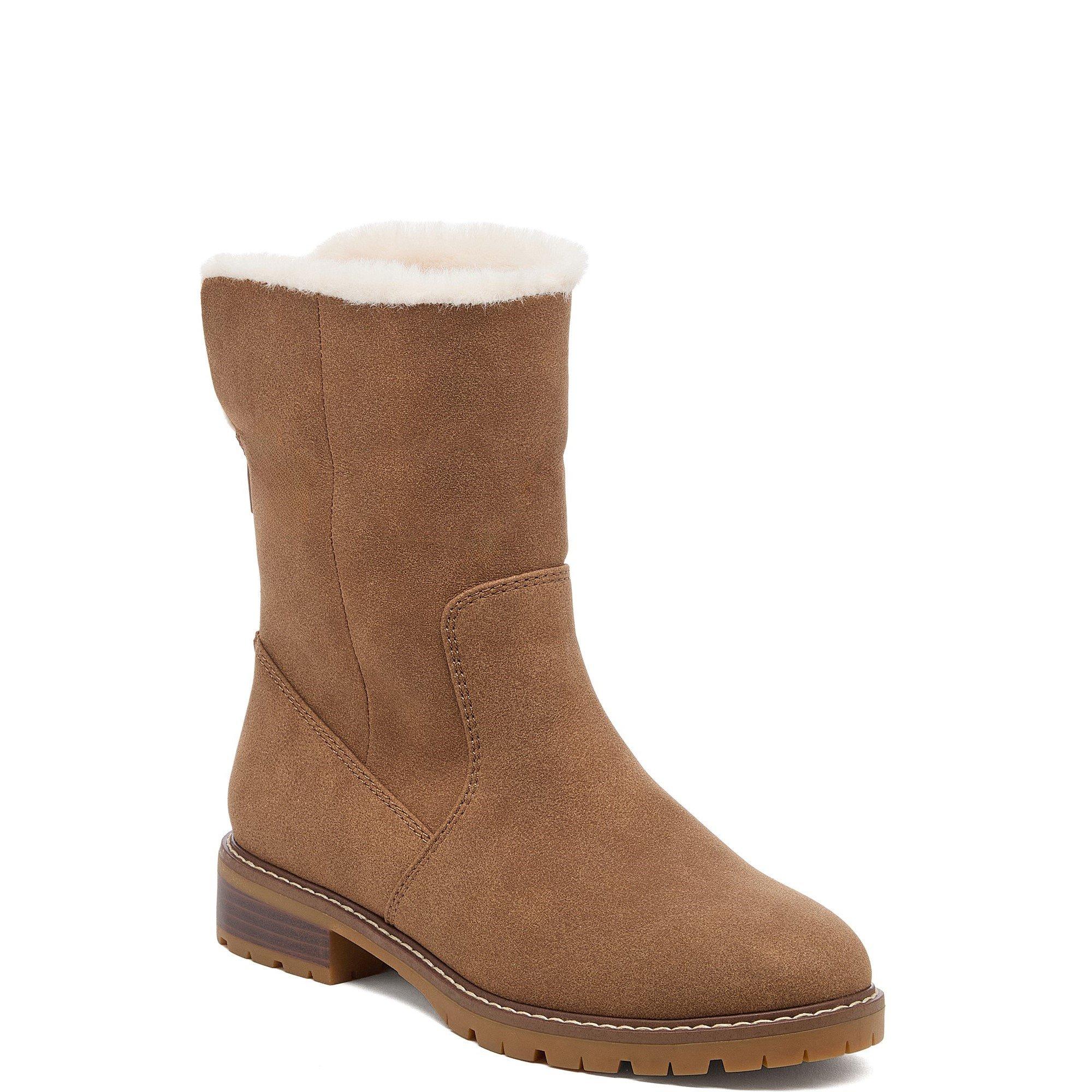 Brown - Rocket Dog - NICHE AURORA - 2