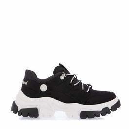 Timberland Low Lace Up Sneakers