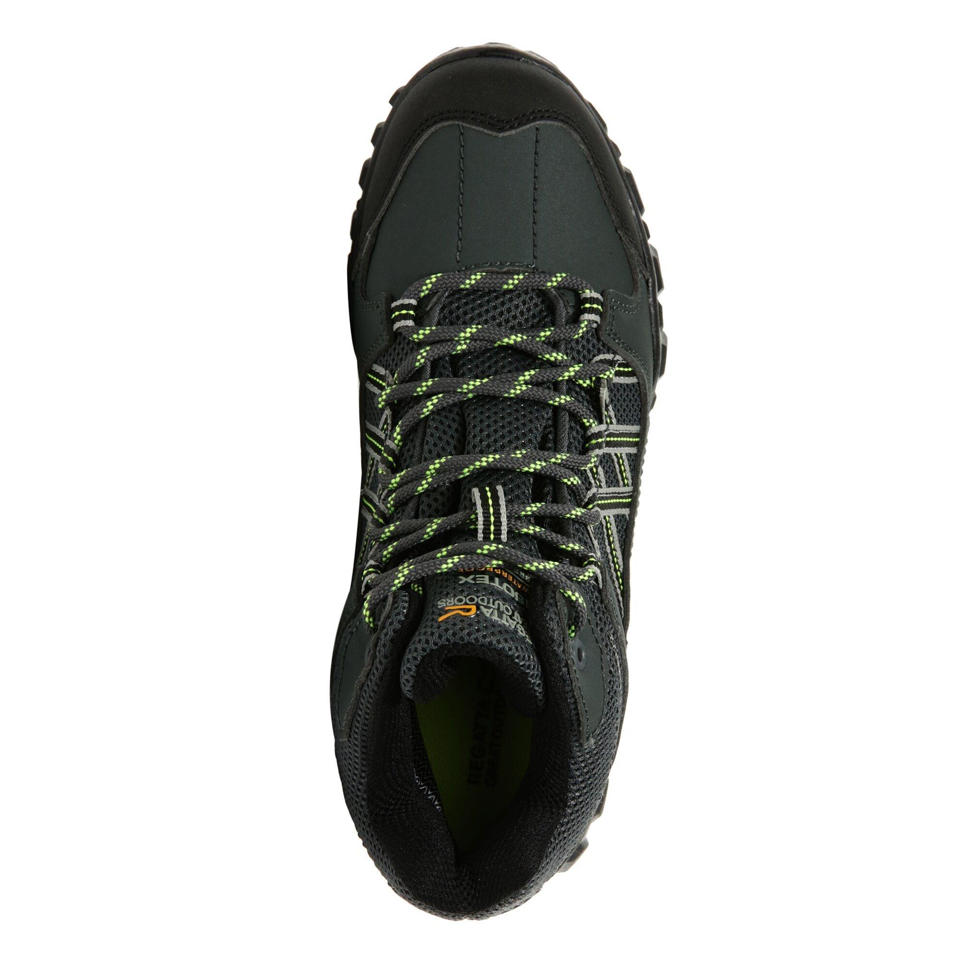 Briar/ElLime - Regatta - Regatta Edgepoint Mi Ch99 - 4