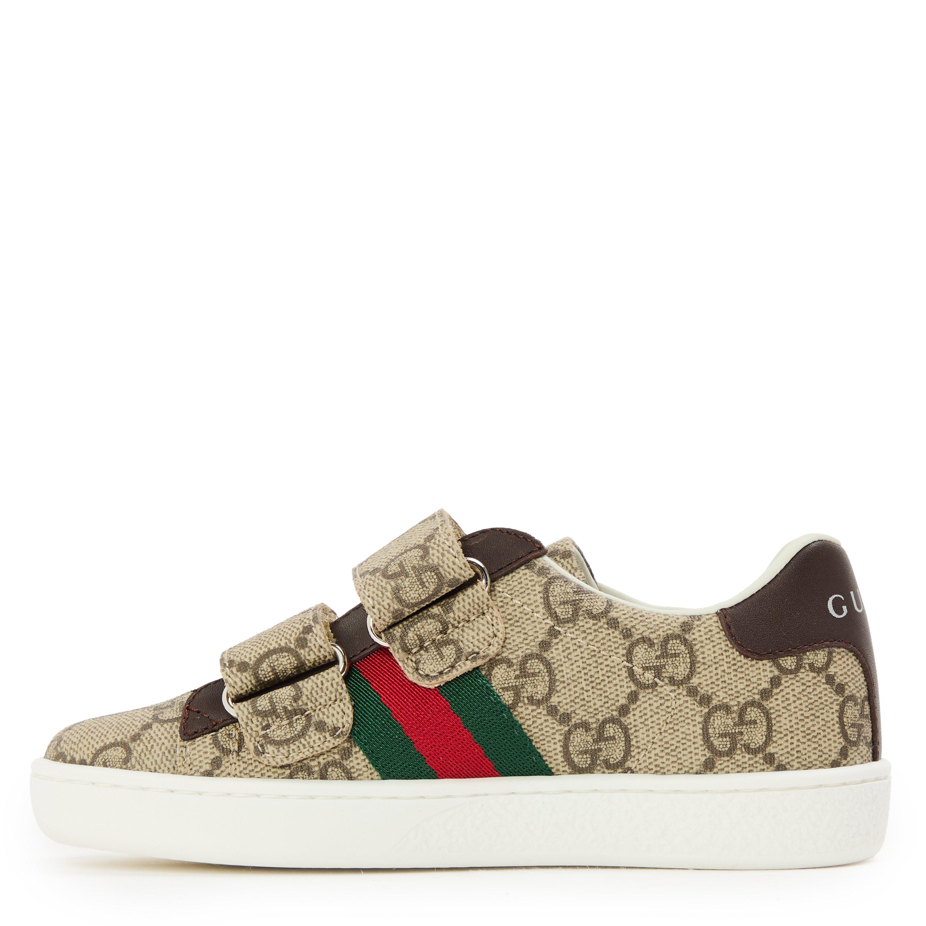 Beige/Brwn 9753 - Gucci - Gucci GG Lgo Trainer Jn00 - 2