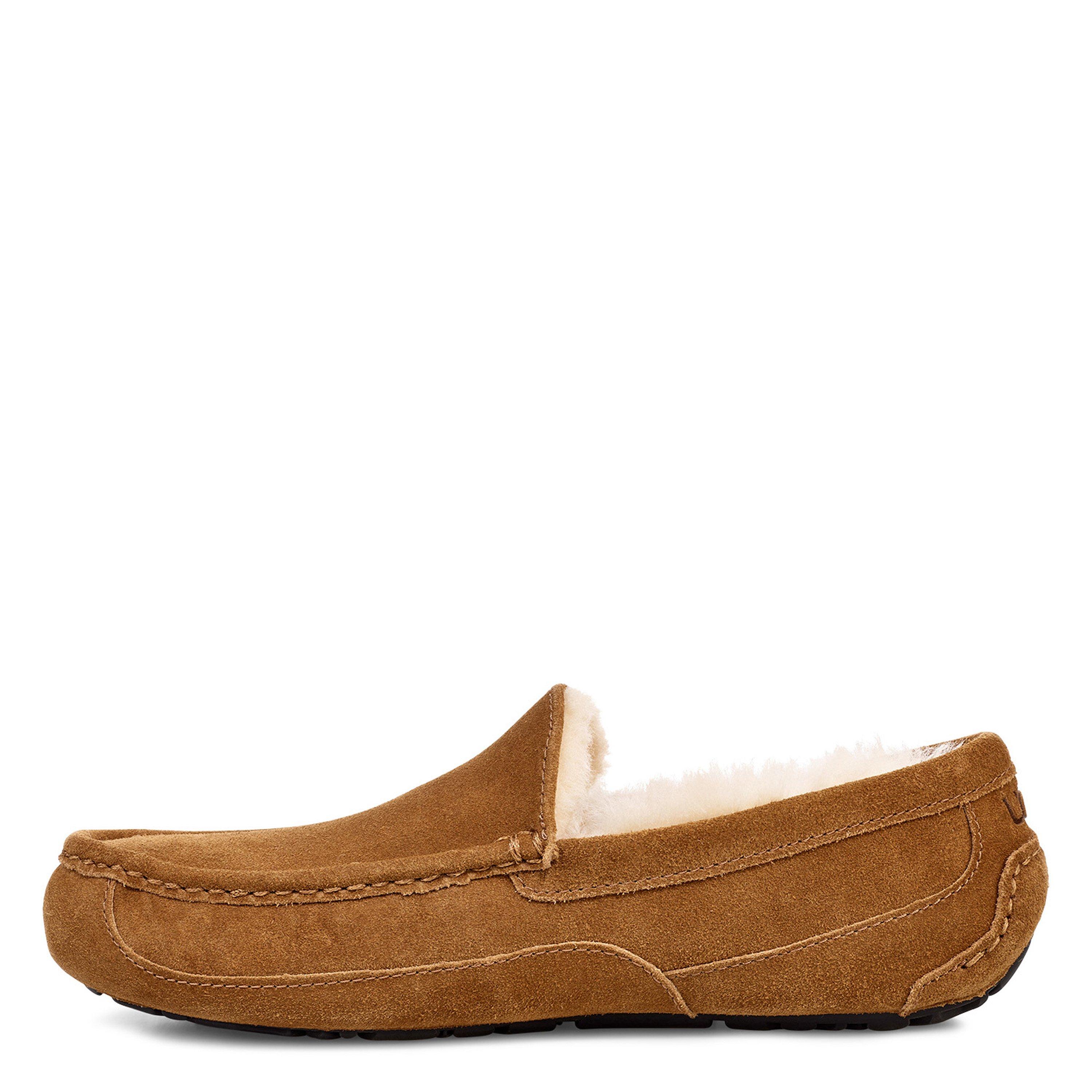 Chestnut - Ugg - Ascot Slipper Mens - 3