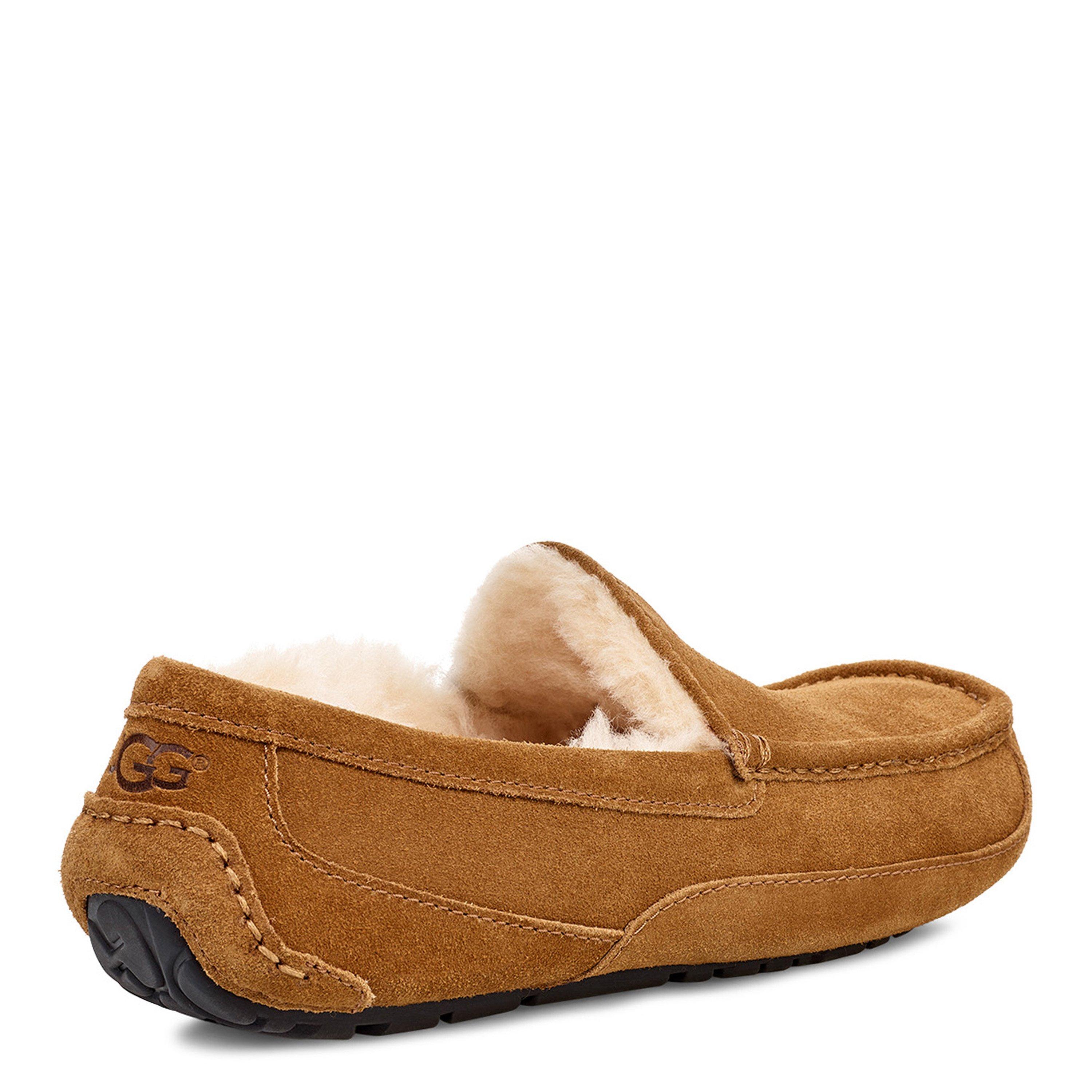 Chestnut - Ugg - Ascot Slipper Mens - 4
