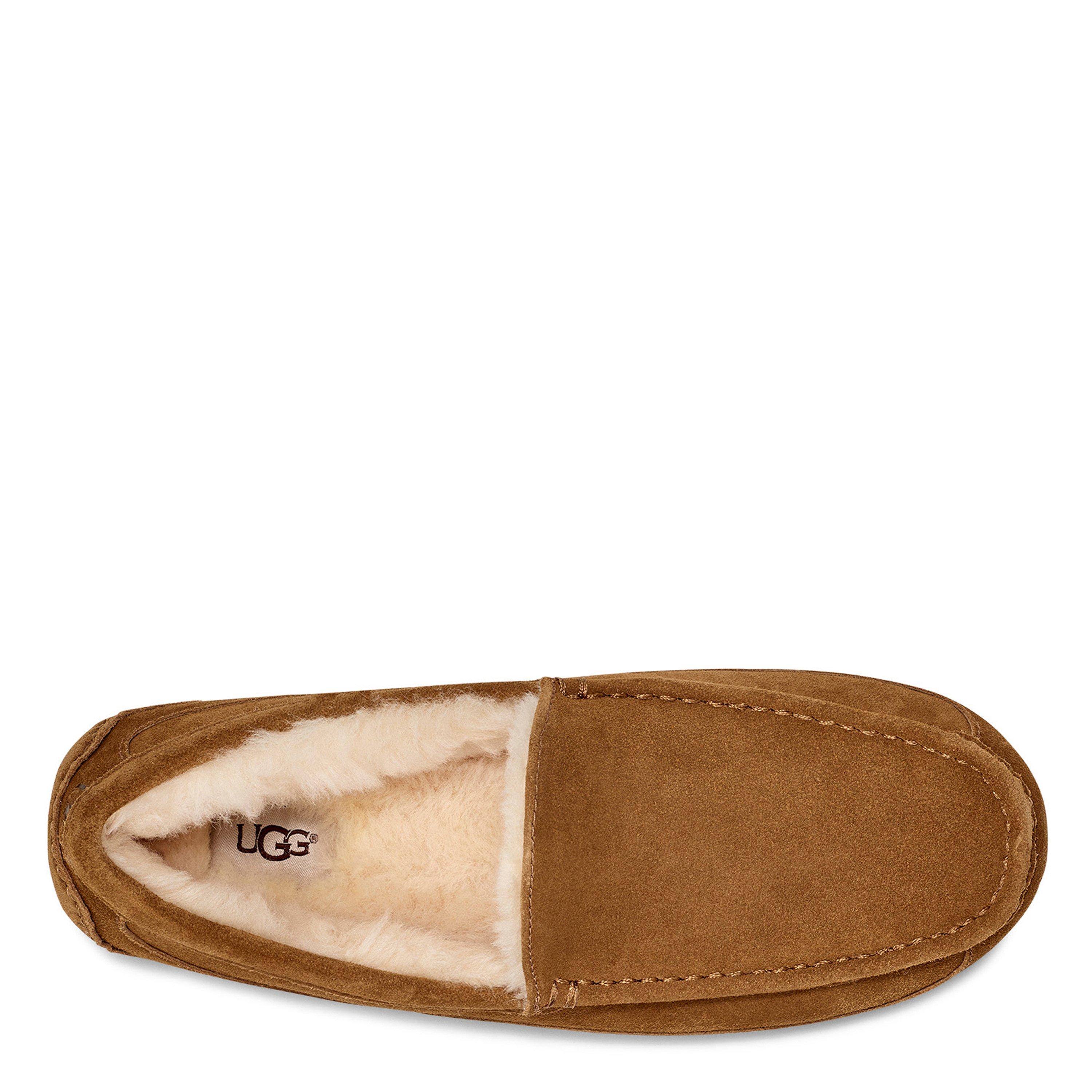 Chestnut - Ugg - Ascot Slipper Mens - 5