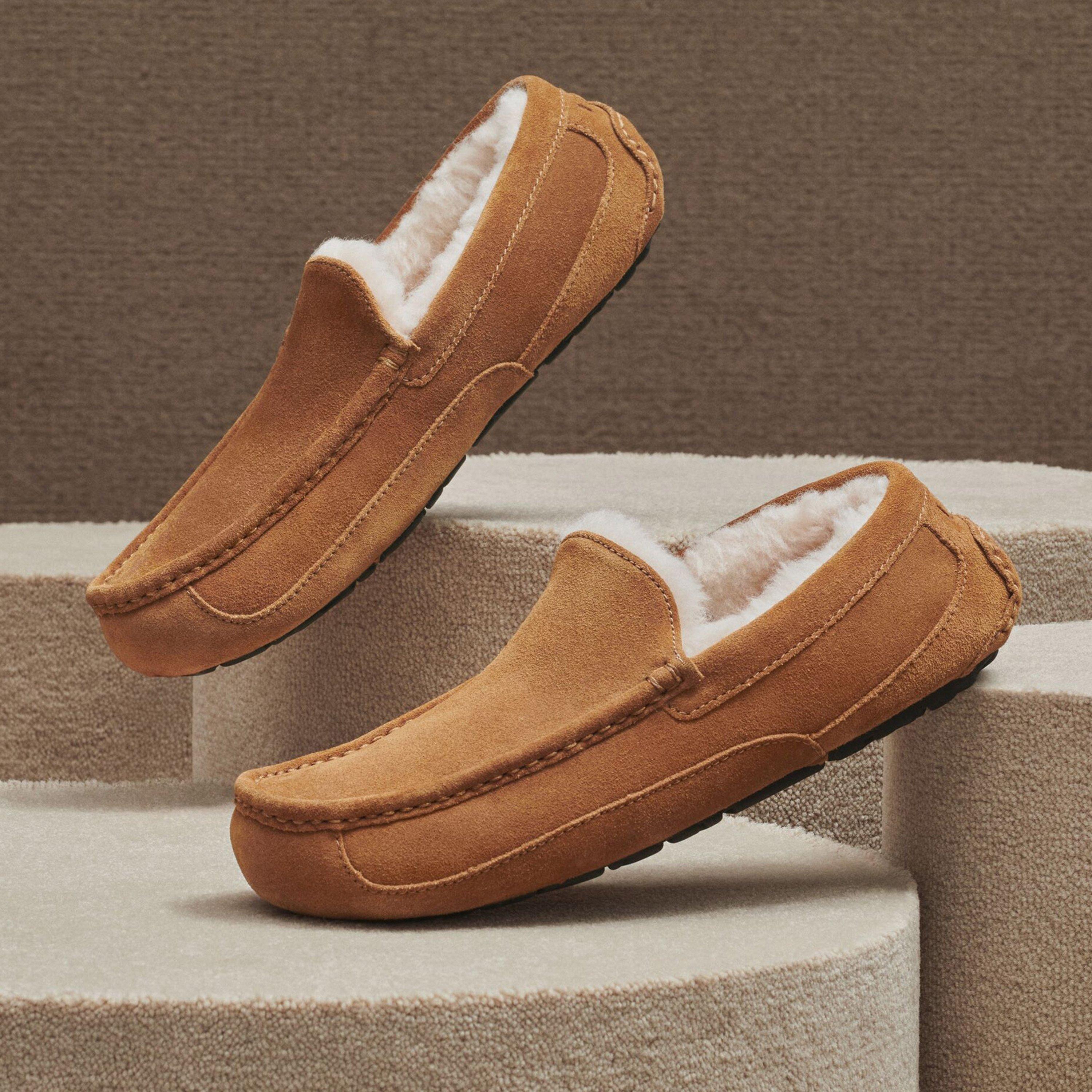 Chestnut - Ugg - Ascot Slipper Mens - 7