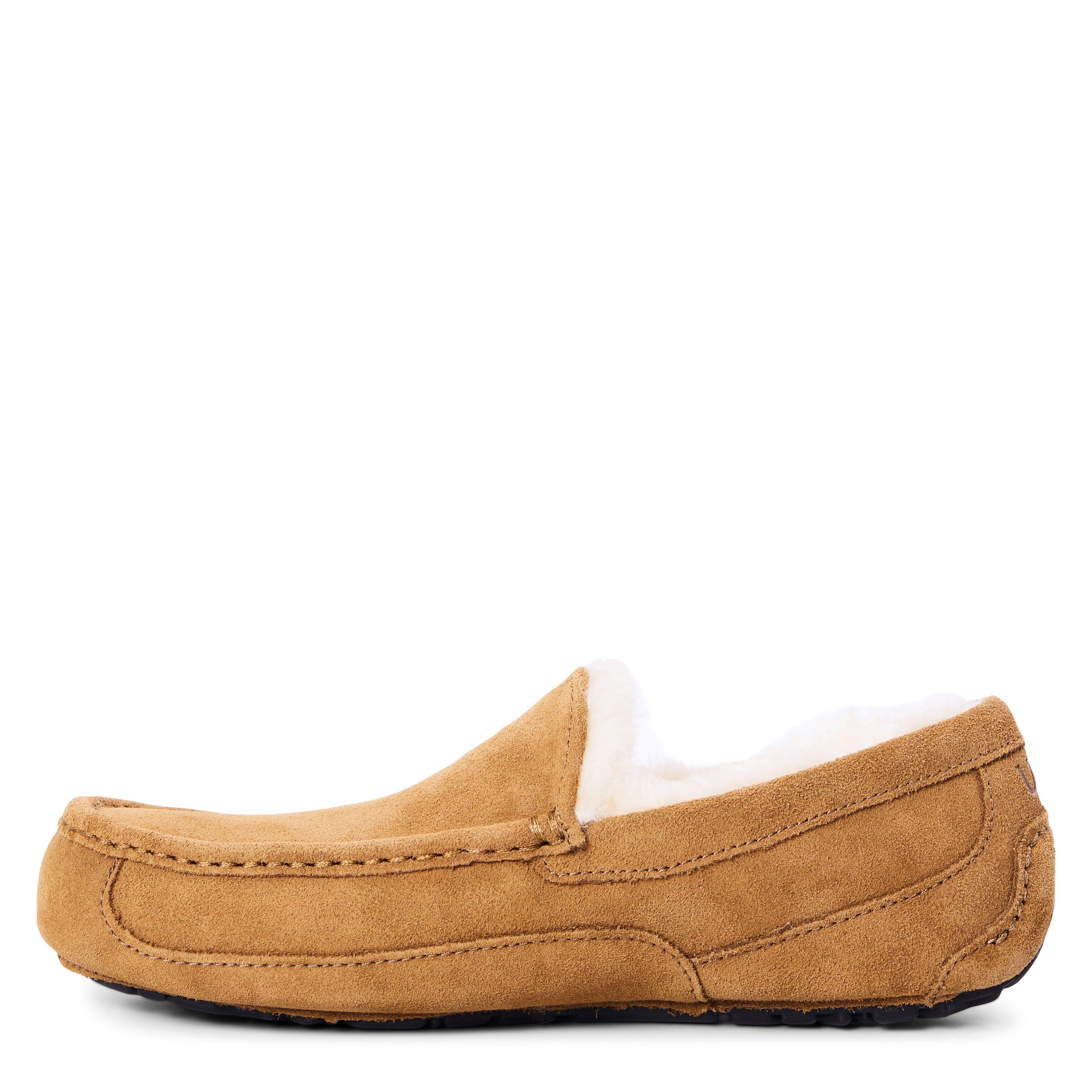 Chesnut - Ugg - Ascot Slipper Mens - 2