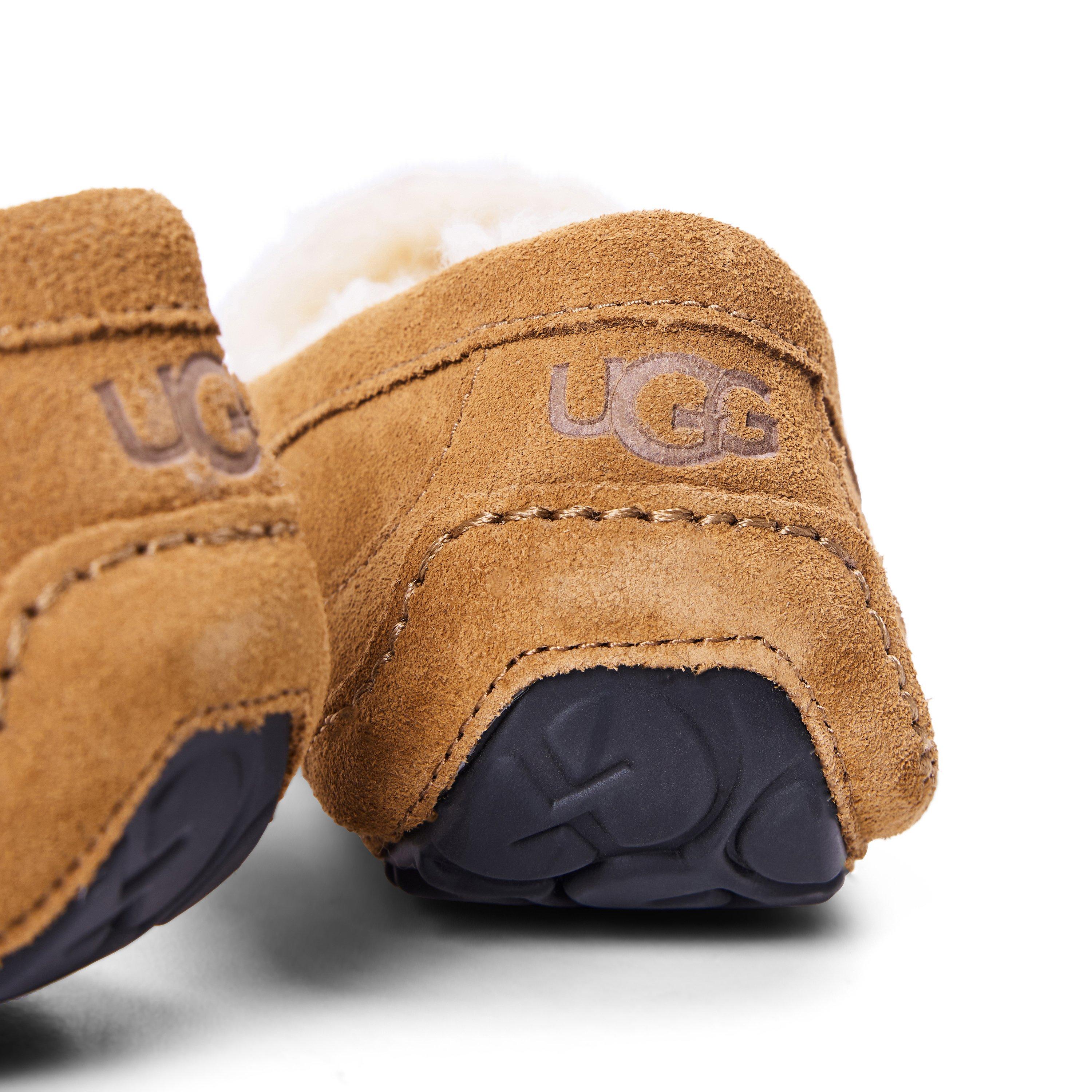 Chesnut - Ugg - Ascot Slipper Mens - 3