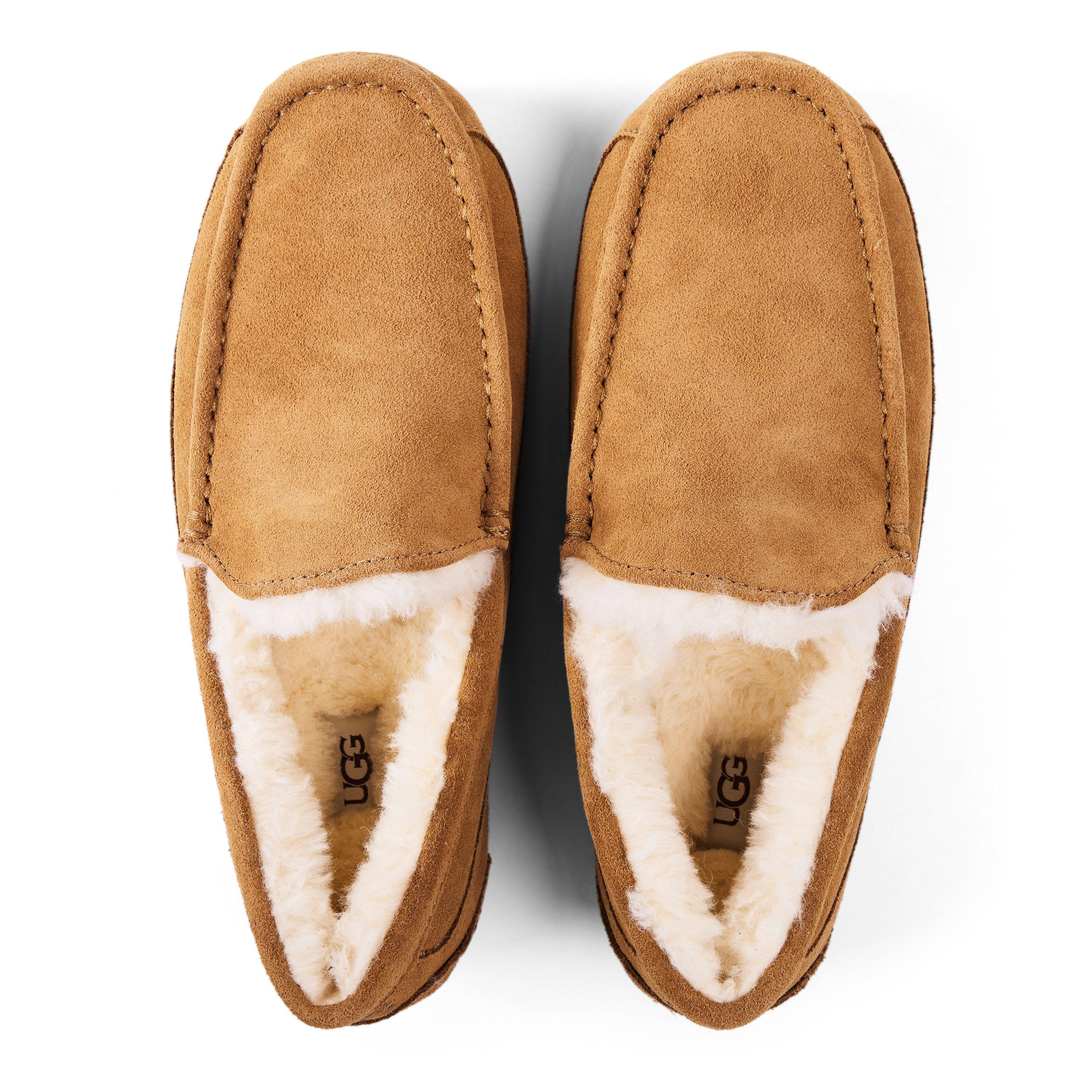 Chesnut - Ugg - Ascot Slipper Mens - 4
