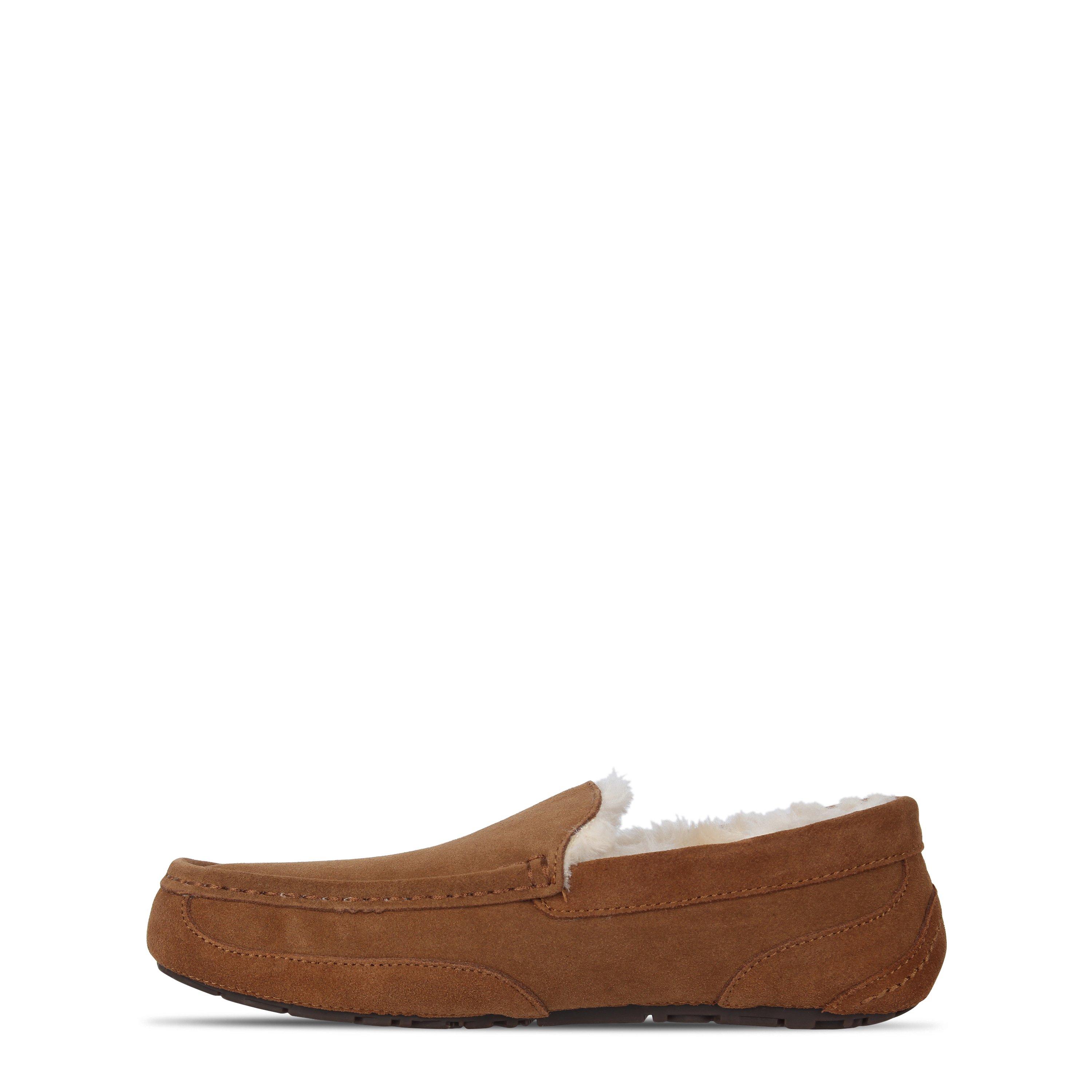 Bruin - Jack Wills - Moccasin Slippers - 4