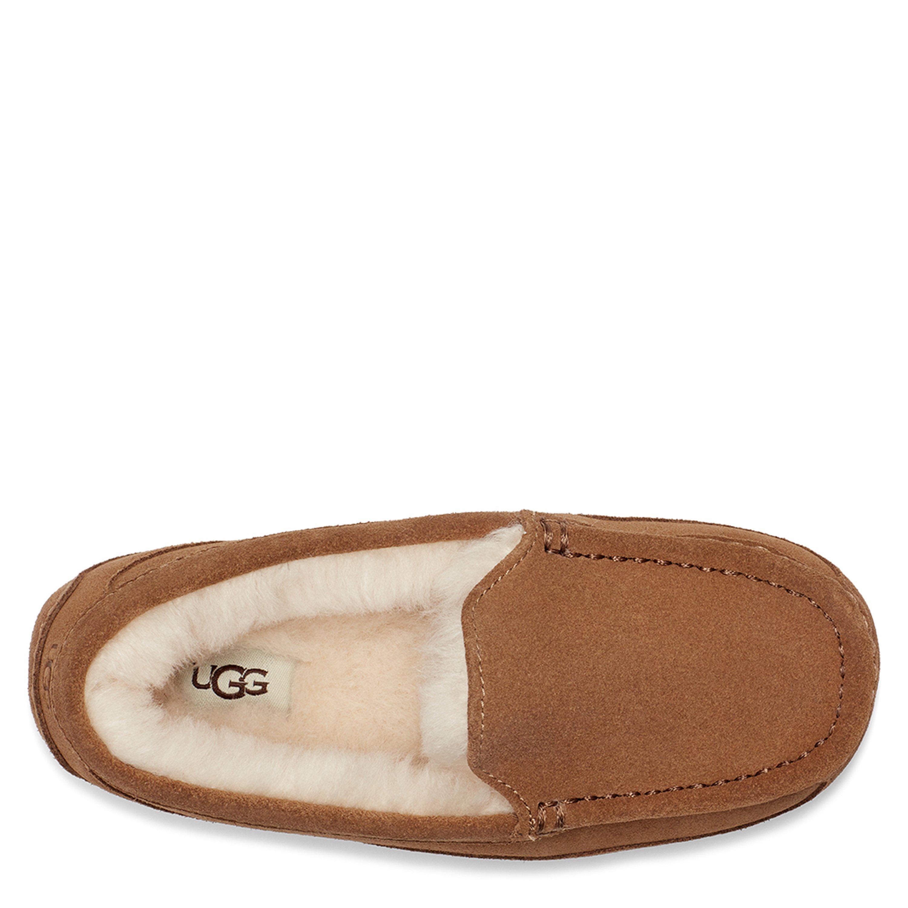 Chestnut - Ugg - Boys' Ascot Mule Slippers - 5
