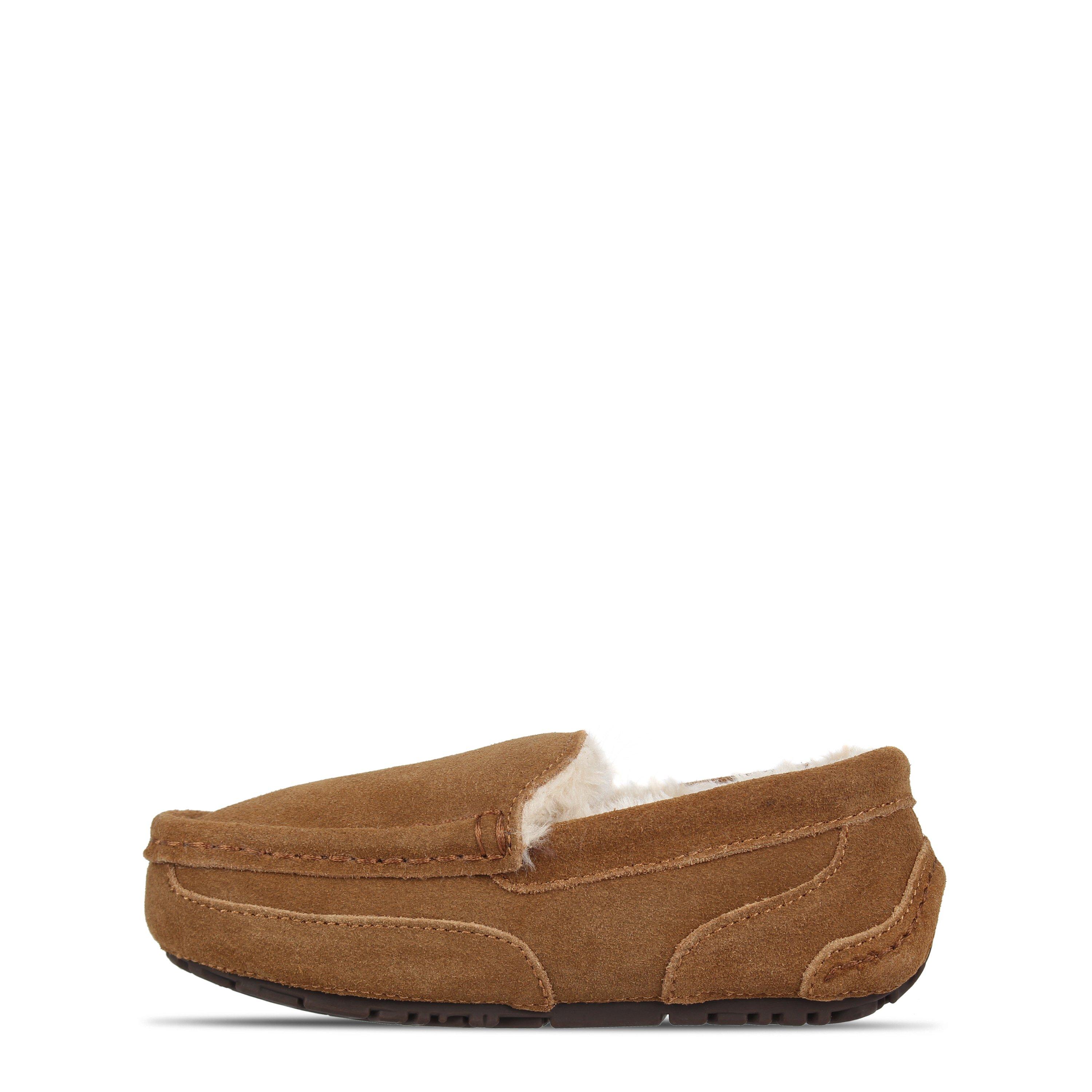 Bruin - Jack Wills - Moccasin Slipper - 2