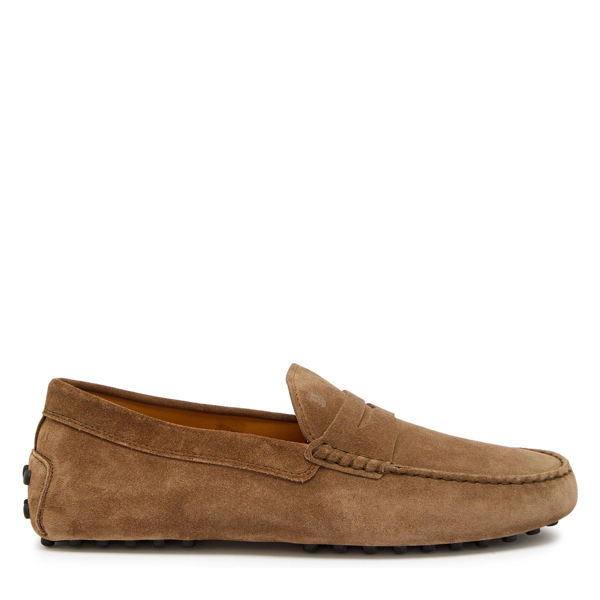 BROWN - Tods - Men's Gommino Suede Loafers - 1