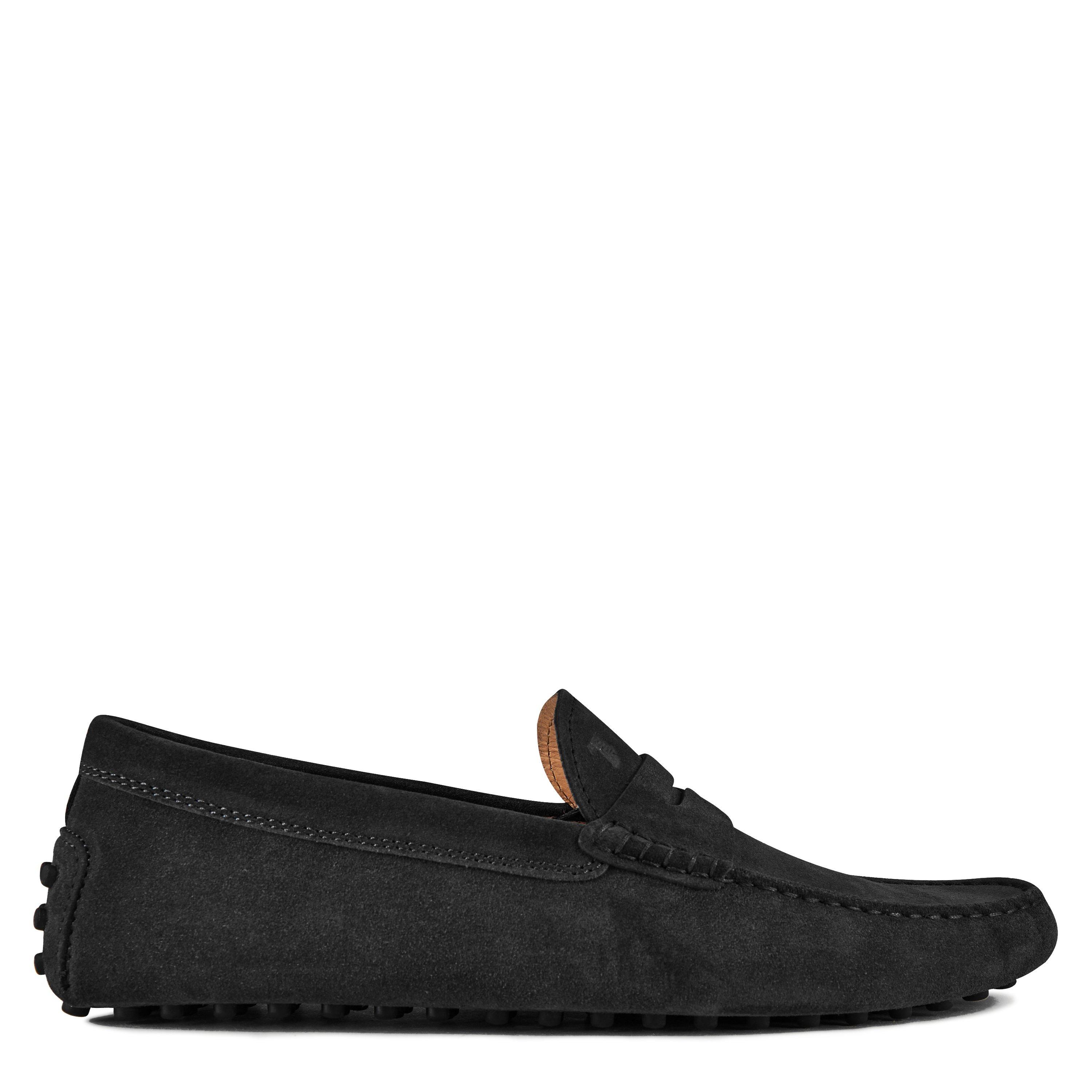 Nero - Tods - Gommino Suede Loafers - 1