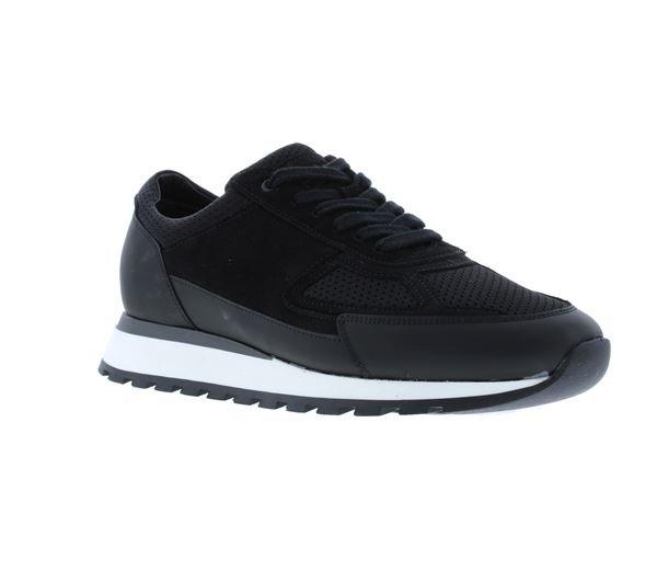 Harrys of LondonハリーズオブロンドンSW1 Daviesスニーカー Harrys of London | SW1 Davies | Studio