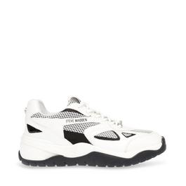 Steve Madden Aventura Sneakers