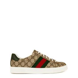 Gucci Ace Sneakers With Web