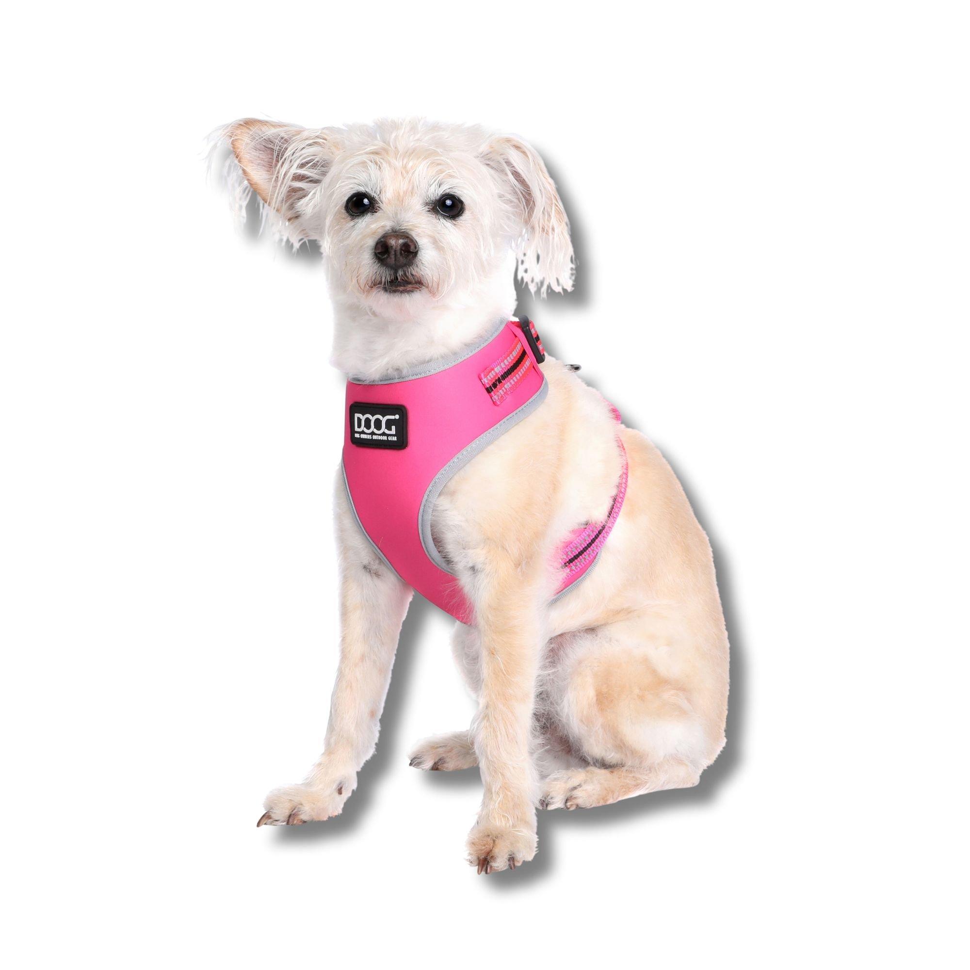 DOOG Neon Harness - Lady- Large