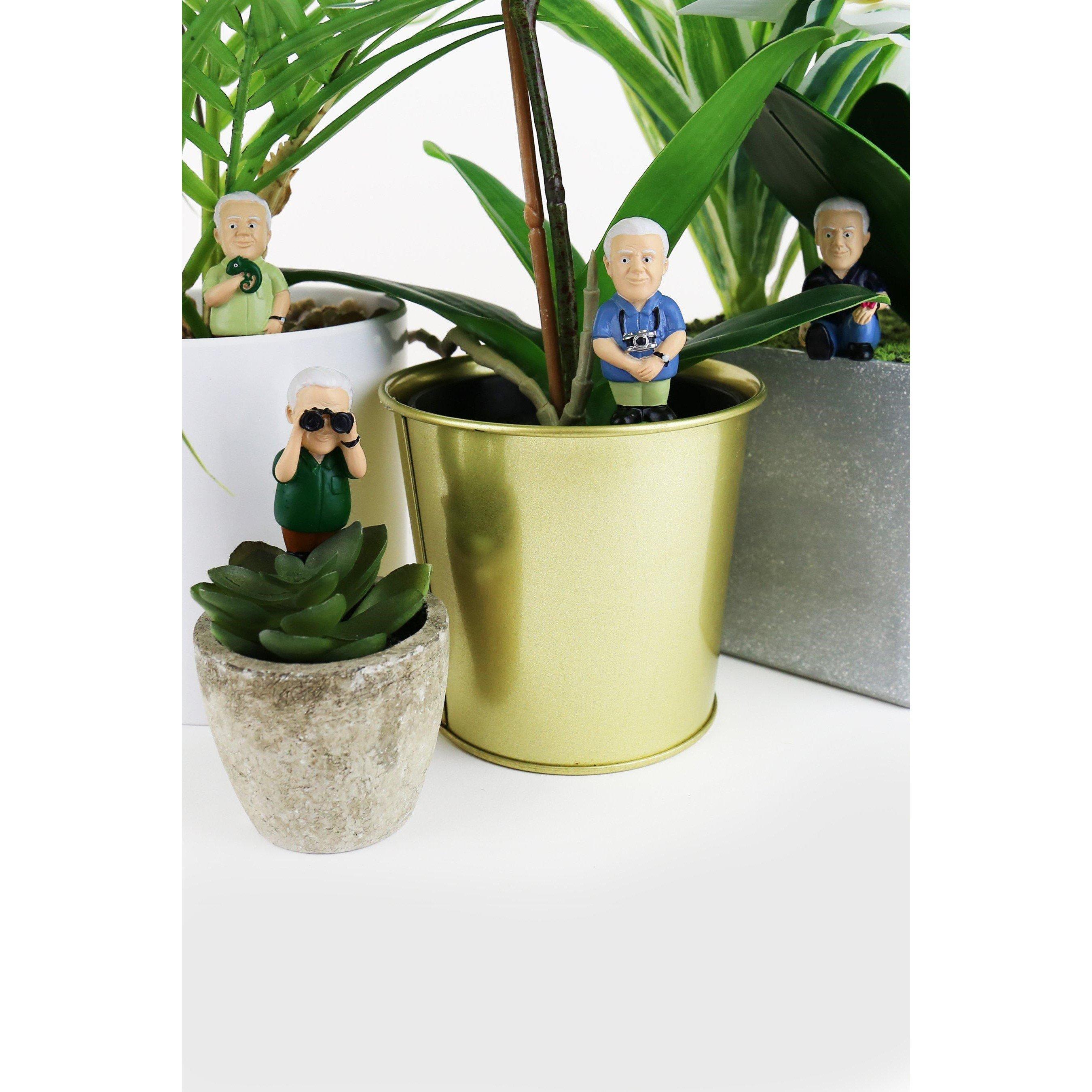 None - Gift Republic - Attenborough Plant Marker - 2