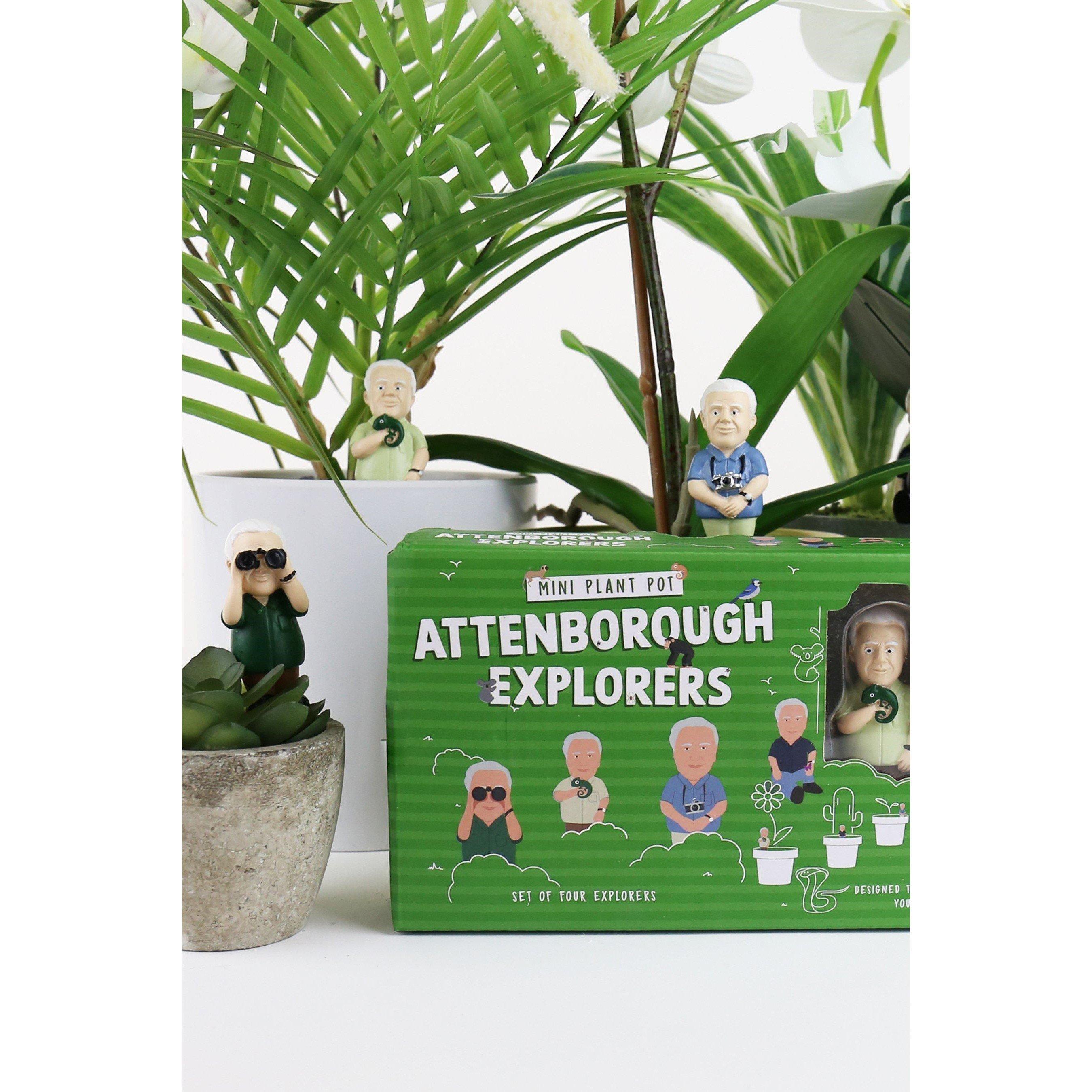 None - Gift Republic - Attenborough Plant Marker - 3