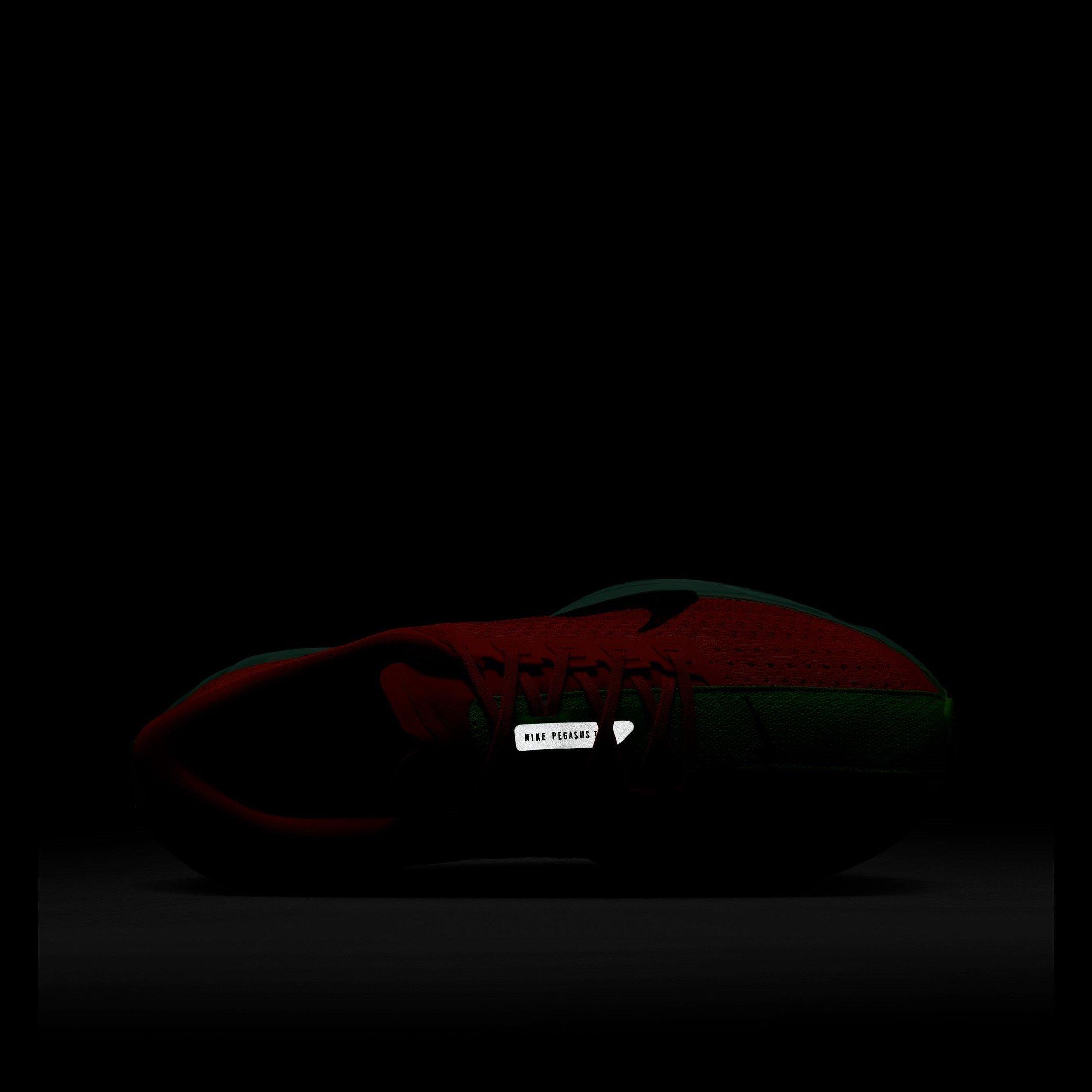 Crimson - Nike - Pegasus Plus Womens Running Shoes - 10