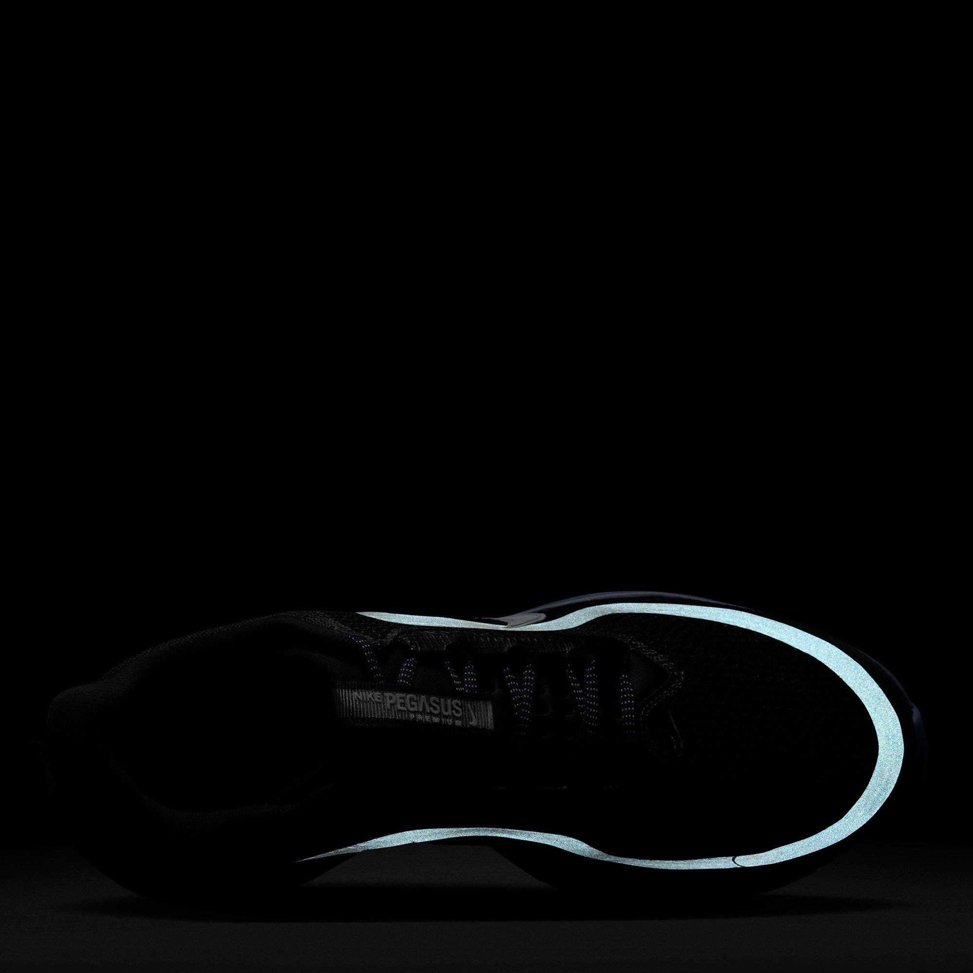 Anhtra/Ashen - Nike - Pegasus Premium Mens Running Shoes - 9