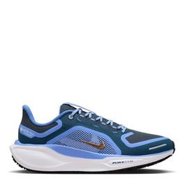 Nike Pegasus 41 Gore Tex Womens Waterproof Road Running Shoes Womens