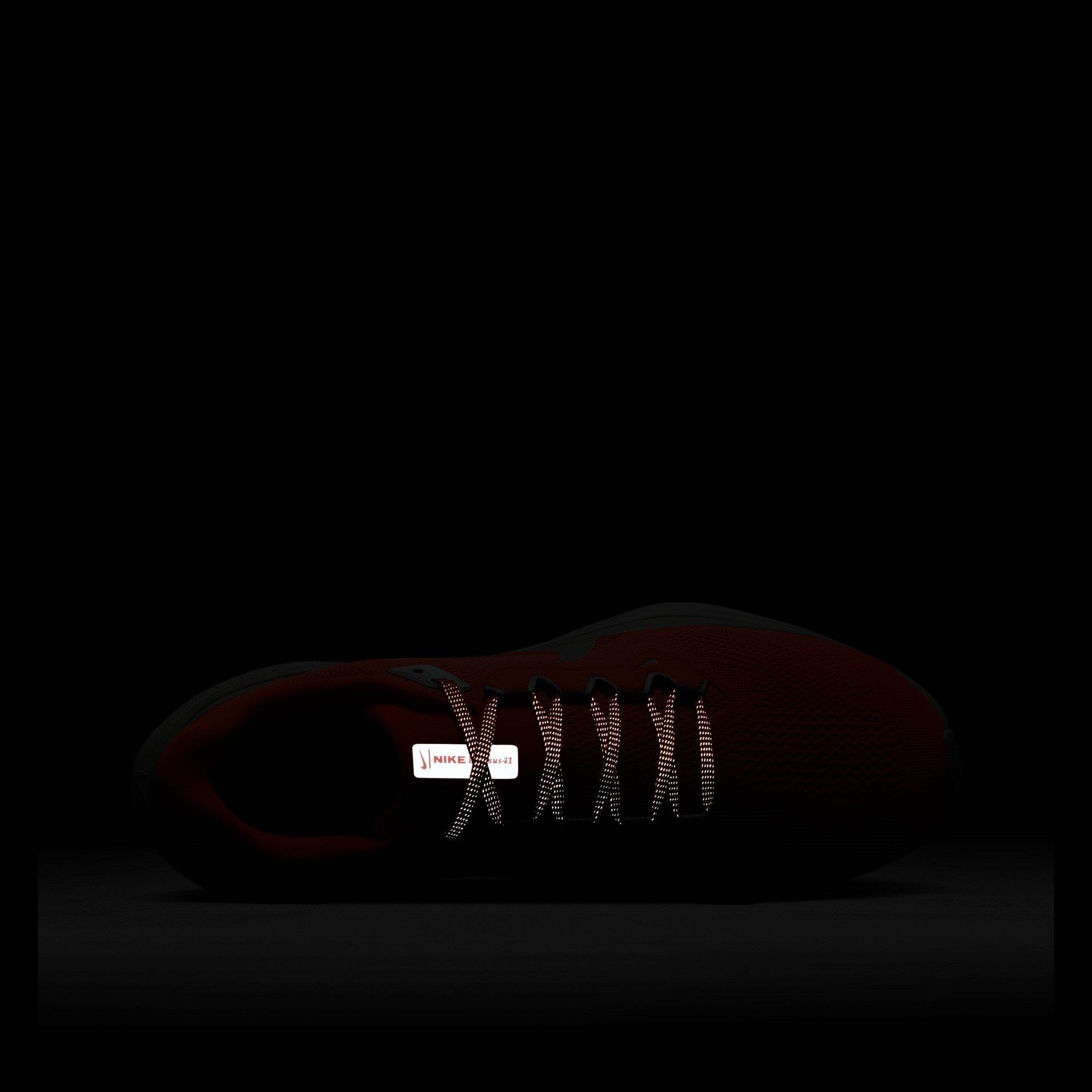 Cremisi/Argento - Nike - Pegasus 41 Prm Men'S Road Running Shoes Mens - 10