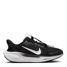 Nike Pegasus EasyOn Road Running Shoes Womens