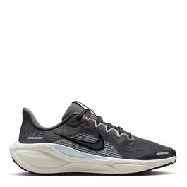 Nike Pegasus 41