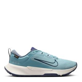 Nike Juniper Trail 2 GTX Mens Trail cropped Shoes