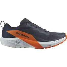 Salomon Sense Ride 5 GoreTex Mens Trail cropped Shoes