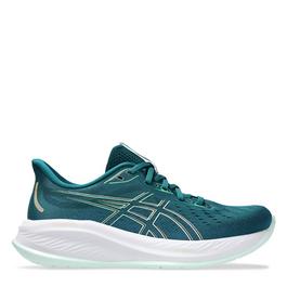 Asics ASICS ROADHAWK FF 2 MX 58