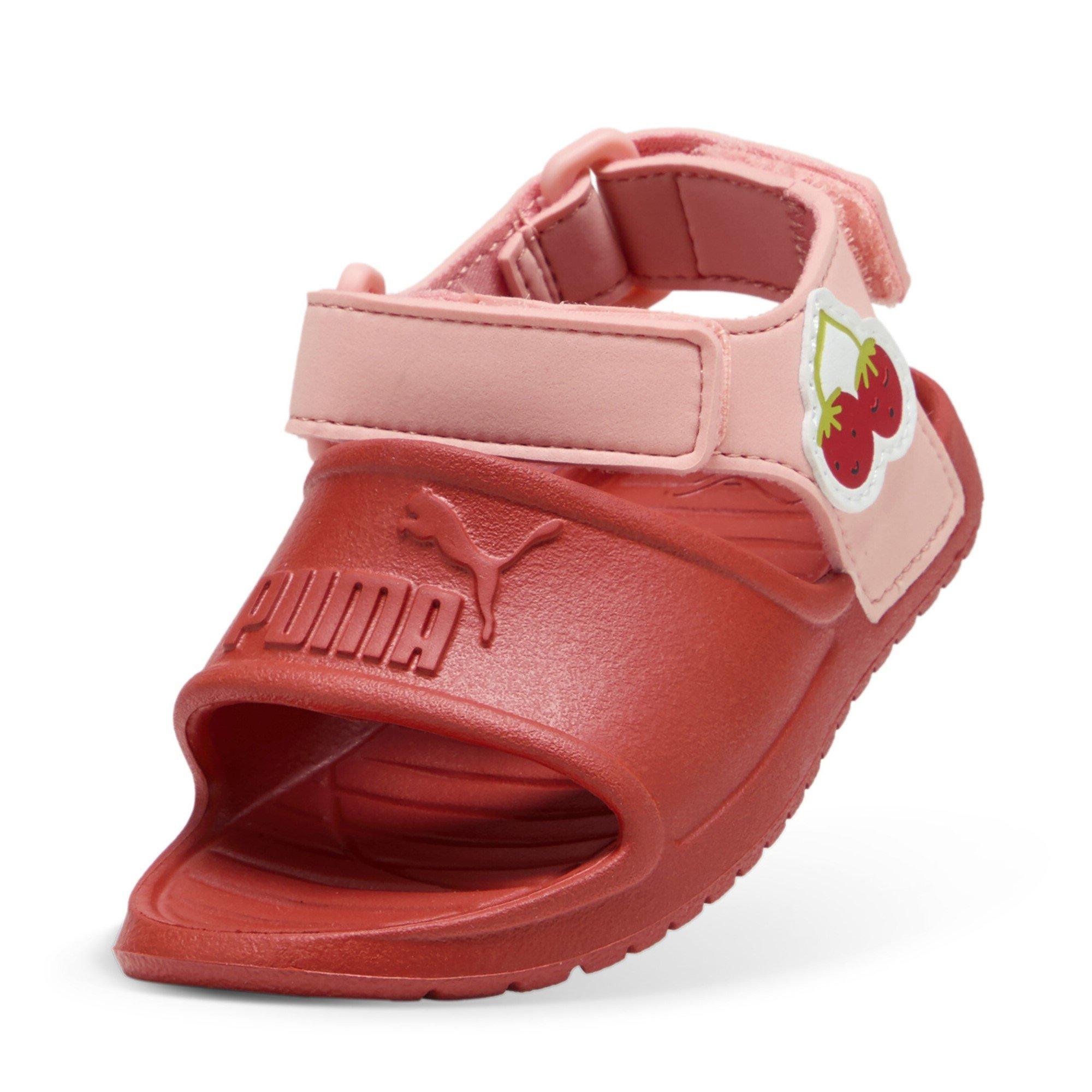 Red-Pink-Kelp - Puma - Divecat 2 Injex In52 - 6