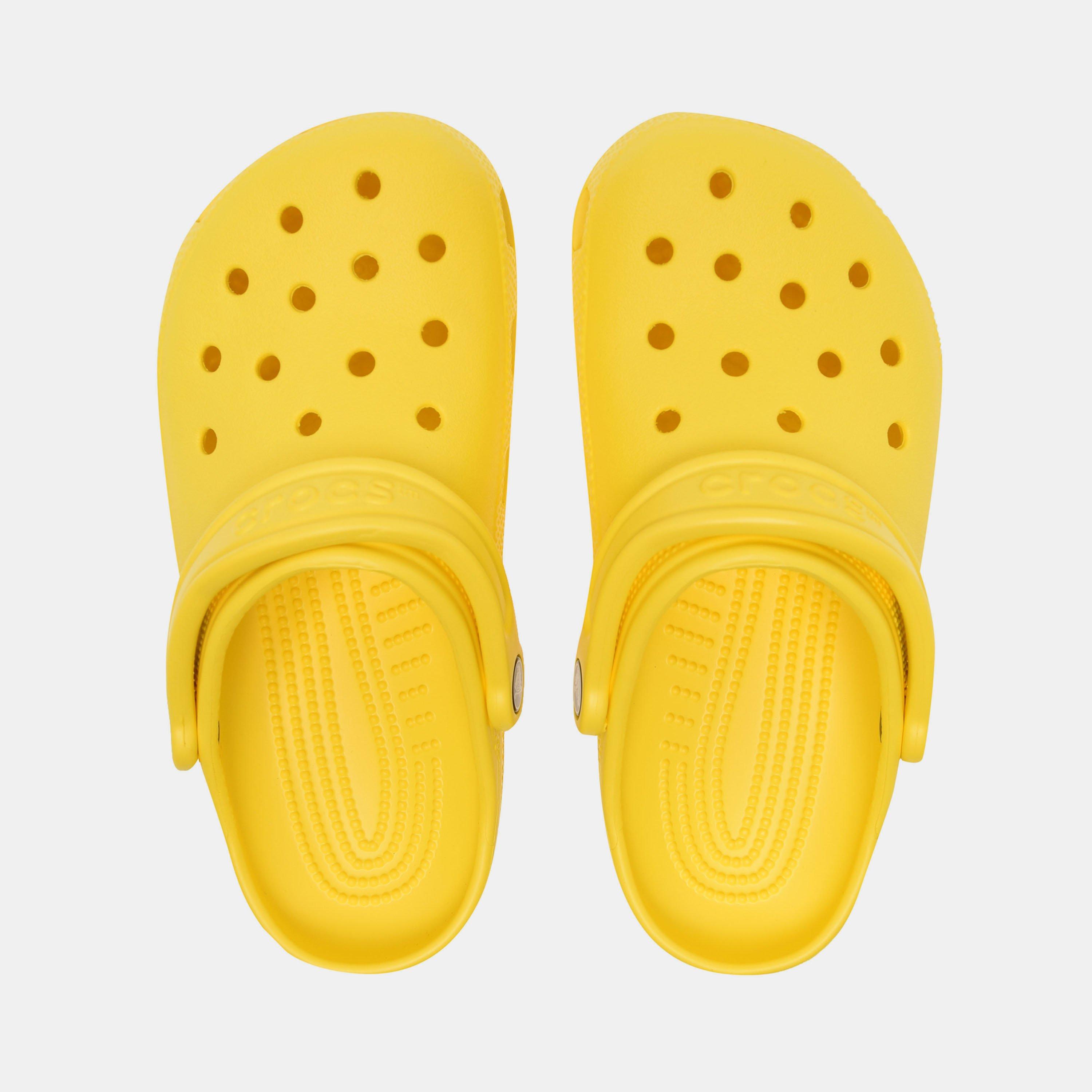 Lemon 7C1 - Crocs - Classic Clog Womens - 8