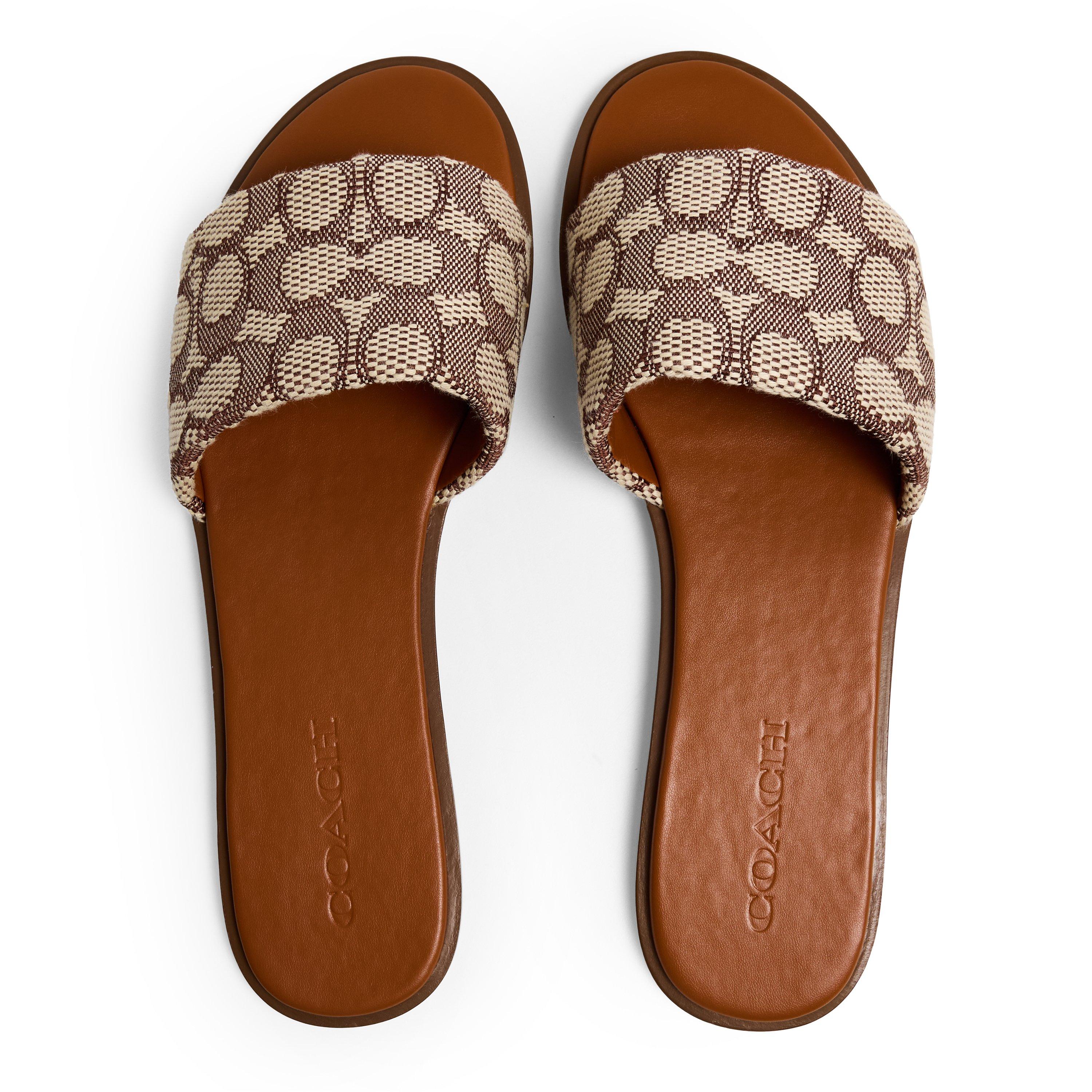 Cocoa Amber - Coach - Holly Sandal - 4